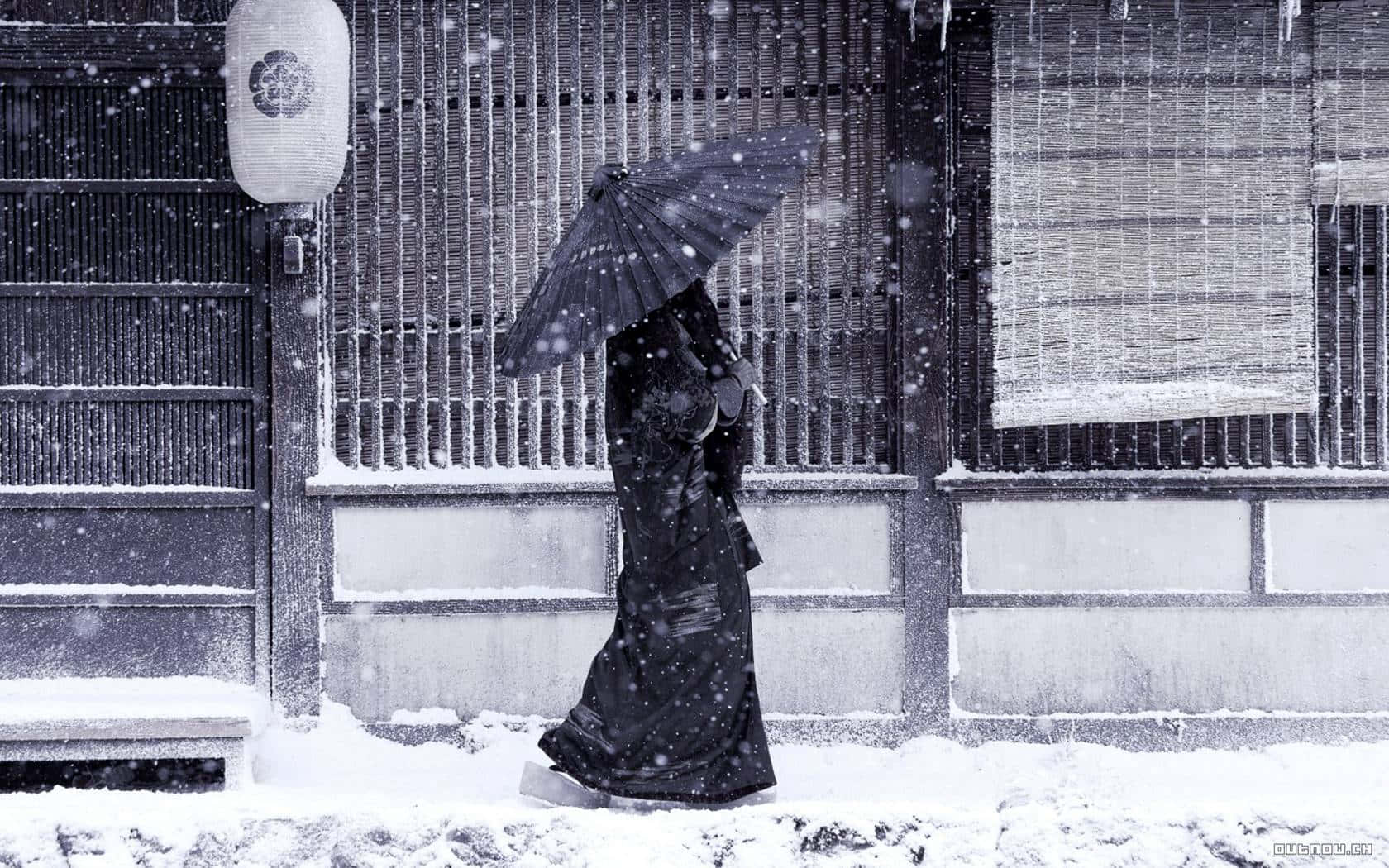 暗調日本