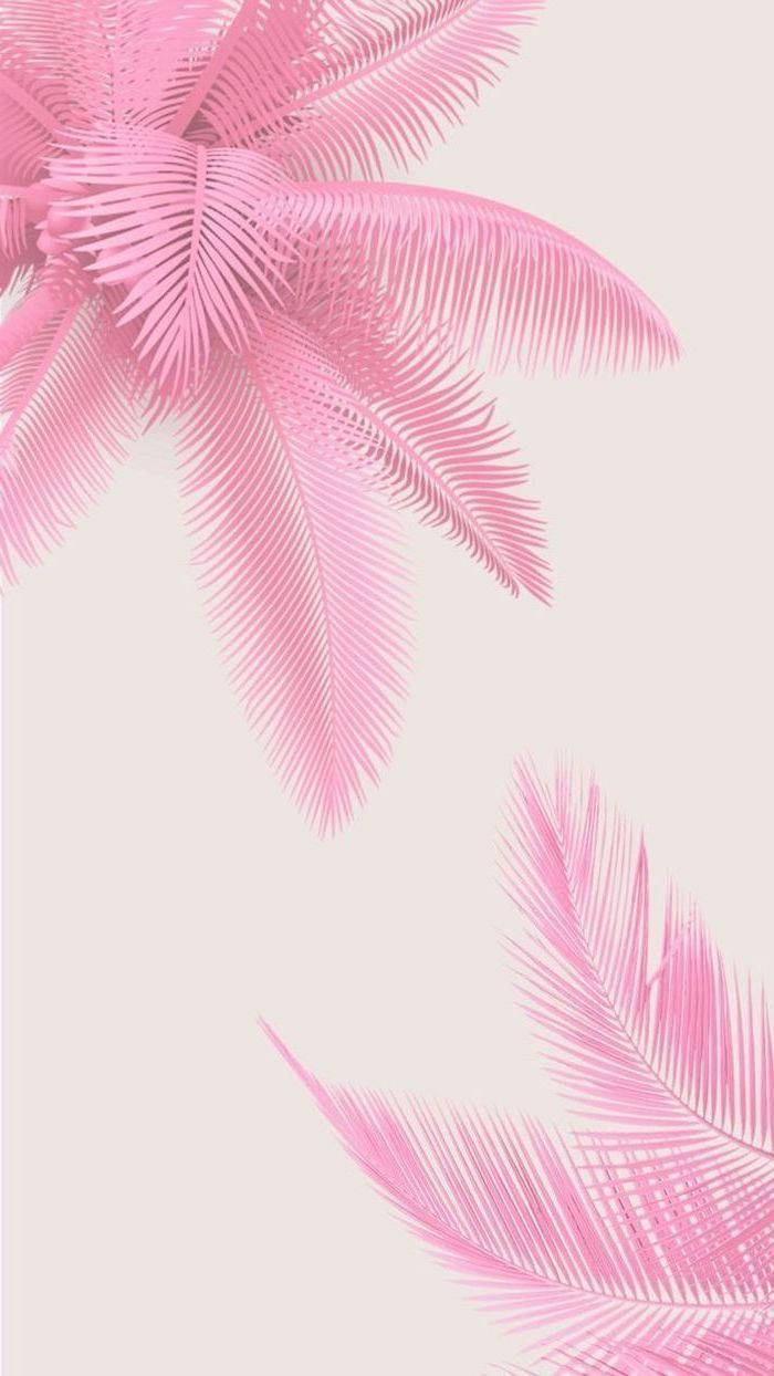 米色背景上的粉紅色棕櫚葉，營造平靜的熱帶氛圍。