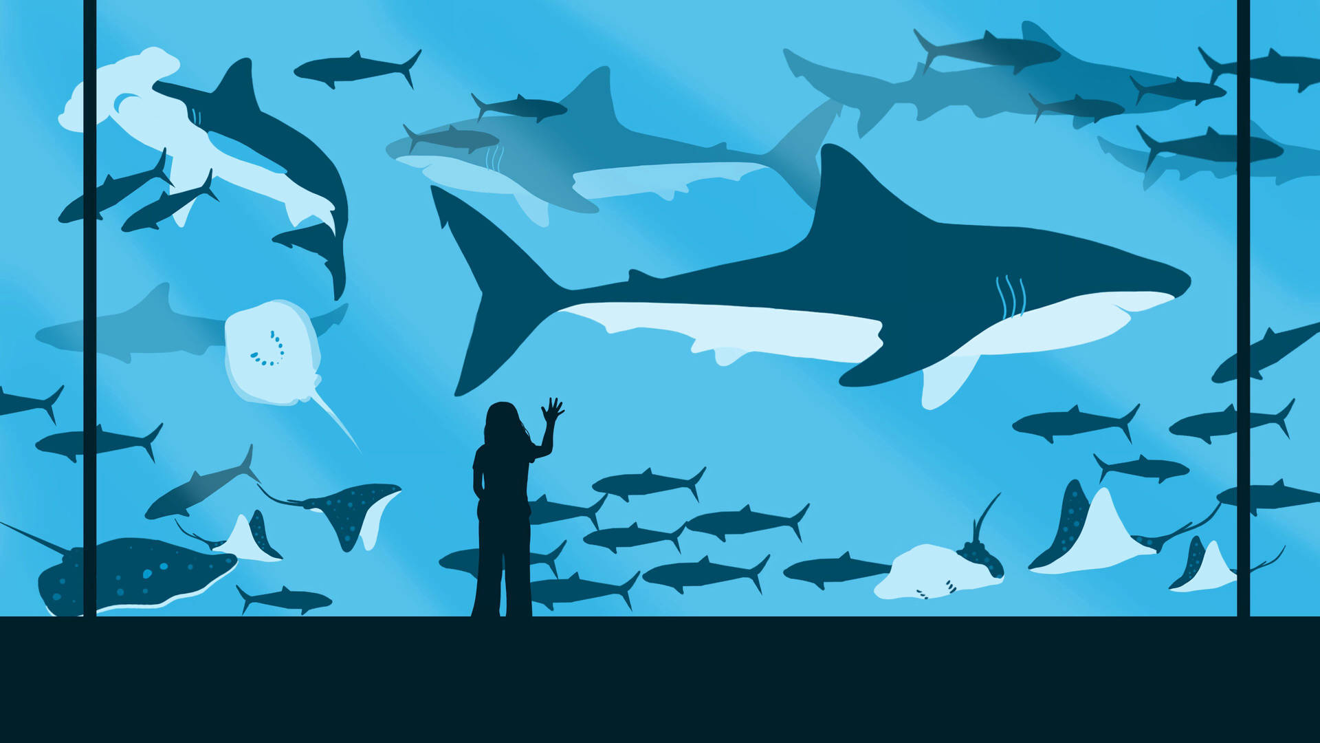 剪影人物在水族館玻璃前向游泳的鯊魚、魔鬼魚和魚類揮手。