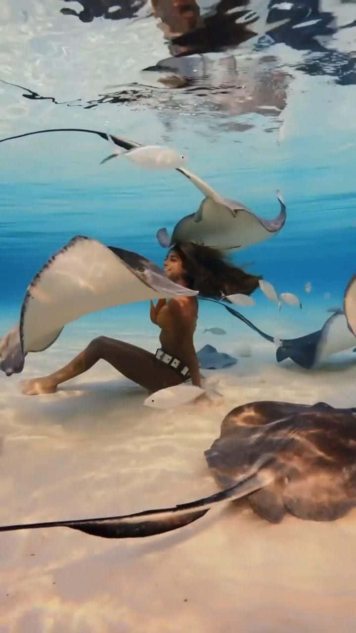 女孩與魟魚海底圖 壁紙 — 一位穿著比堅尼的女性優雅地坐在陽光普照的沙質海床上，周圍有游動的魔鬼魚和小魚。