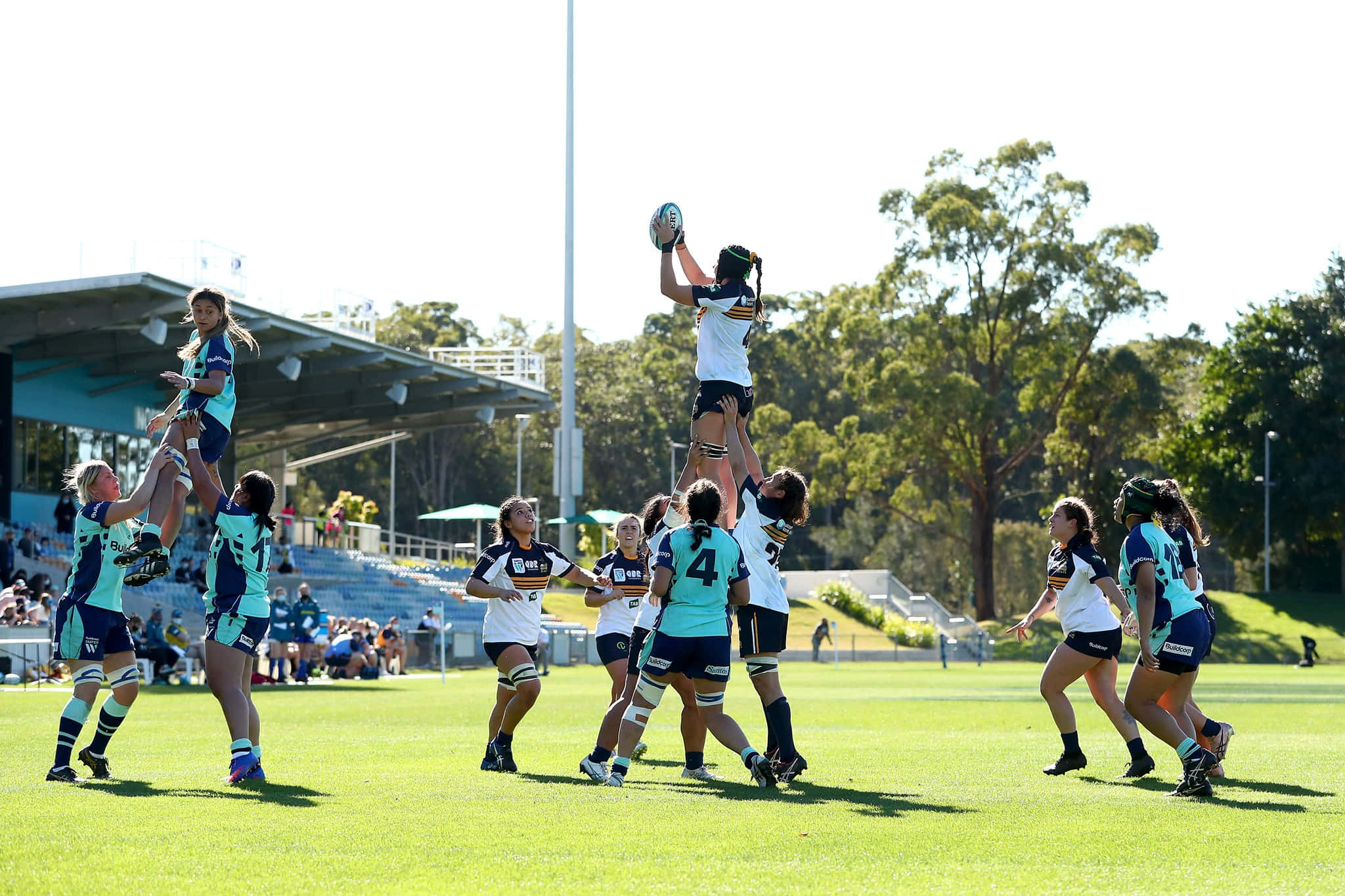 Brumbies 桌布 壁紙 — 女欖球員在明亮的日光下，於翠綠的草地上進行動態的界外球，跳起並舉起隊友。