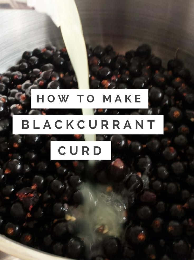 Black Currant 桌布 壁紙 — 奶油狀白色液體倒在金屬碗中閃亮的黑加侖子上，用於自製凝乳。