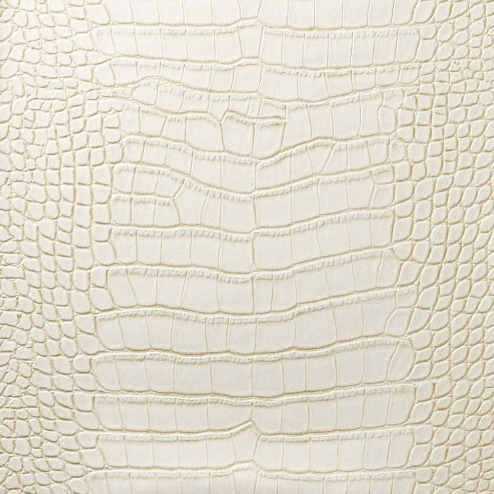 Cream Color 桌布 壁紙 — 奶油白色紋理鱷魚皮的近距離特寫，具有詳細的鱗片圖案和微妙的自然變化。