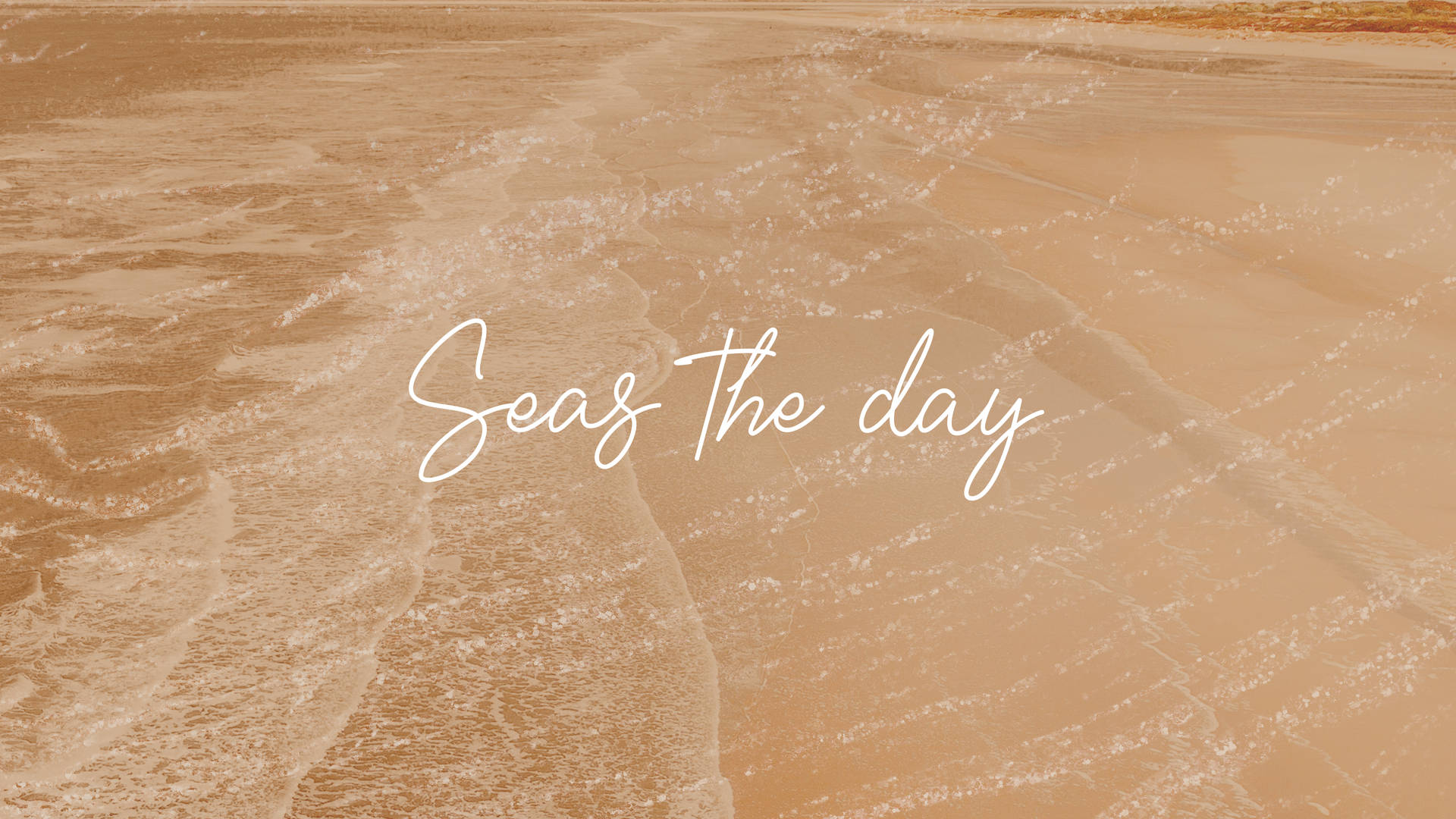 沙灘上退去的波浪，文字 seas the day