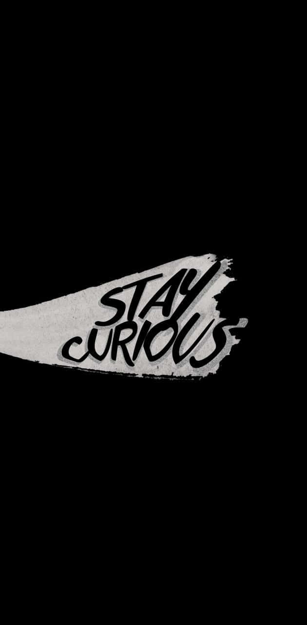 純黑色背景上，帶有粗體白色筆觸文字『STAY CURIOUS』