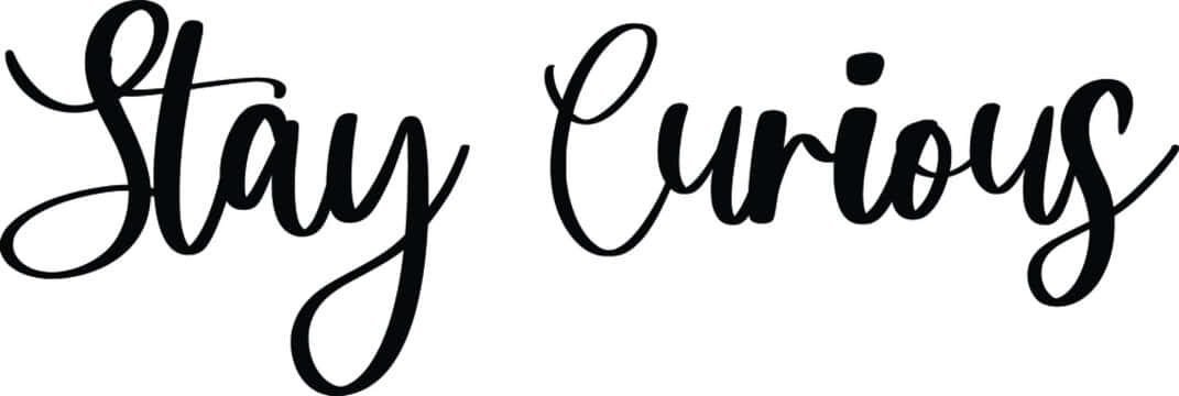 Stay Curious 勵志名言以優雅黑色草書呈現。