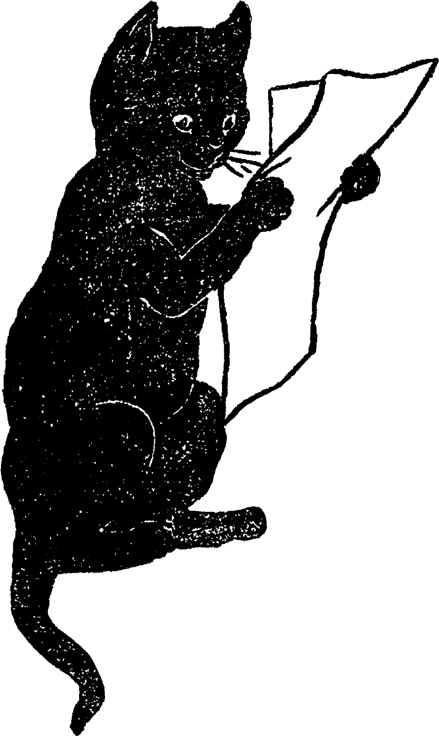 好奇貓咪玩線 壁紙 — 一個鮮明的黑色背景，點綴著微弱的白色噪點，營造出極簡的數位紋理。