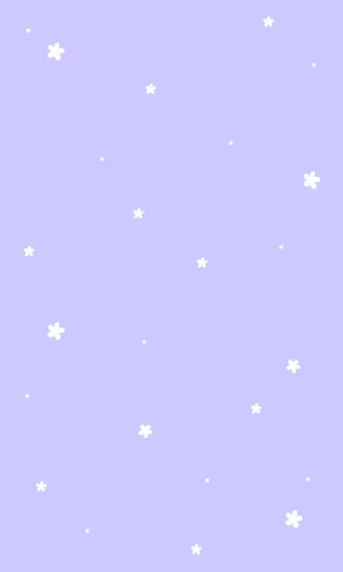 薰衣草背景配白色星星同花朵