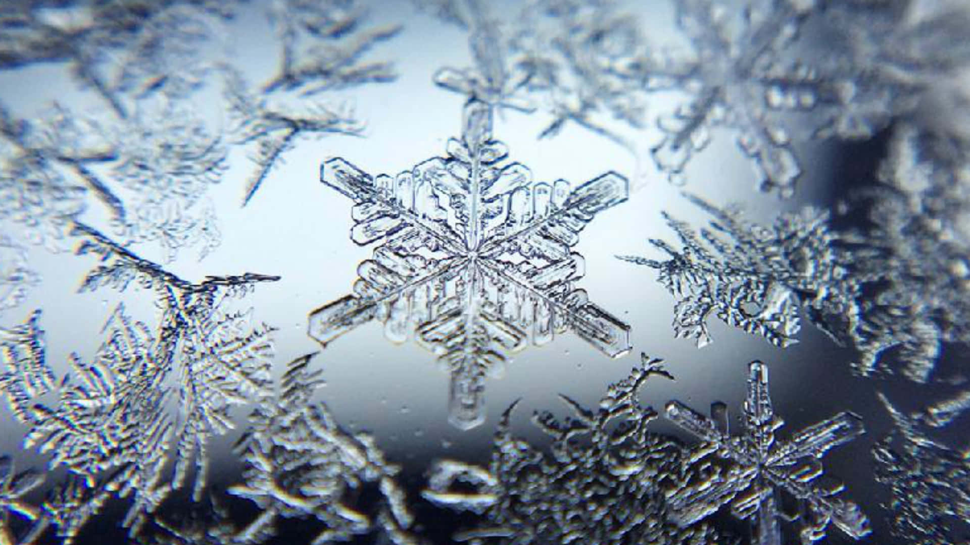 冬季窗戶表面形成的詳細冰晶和雪花。