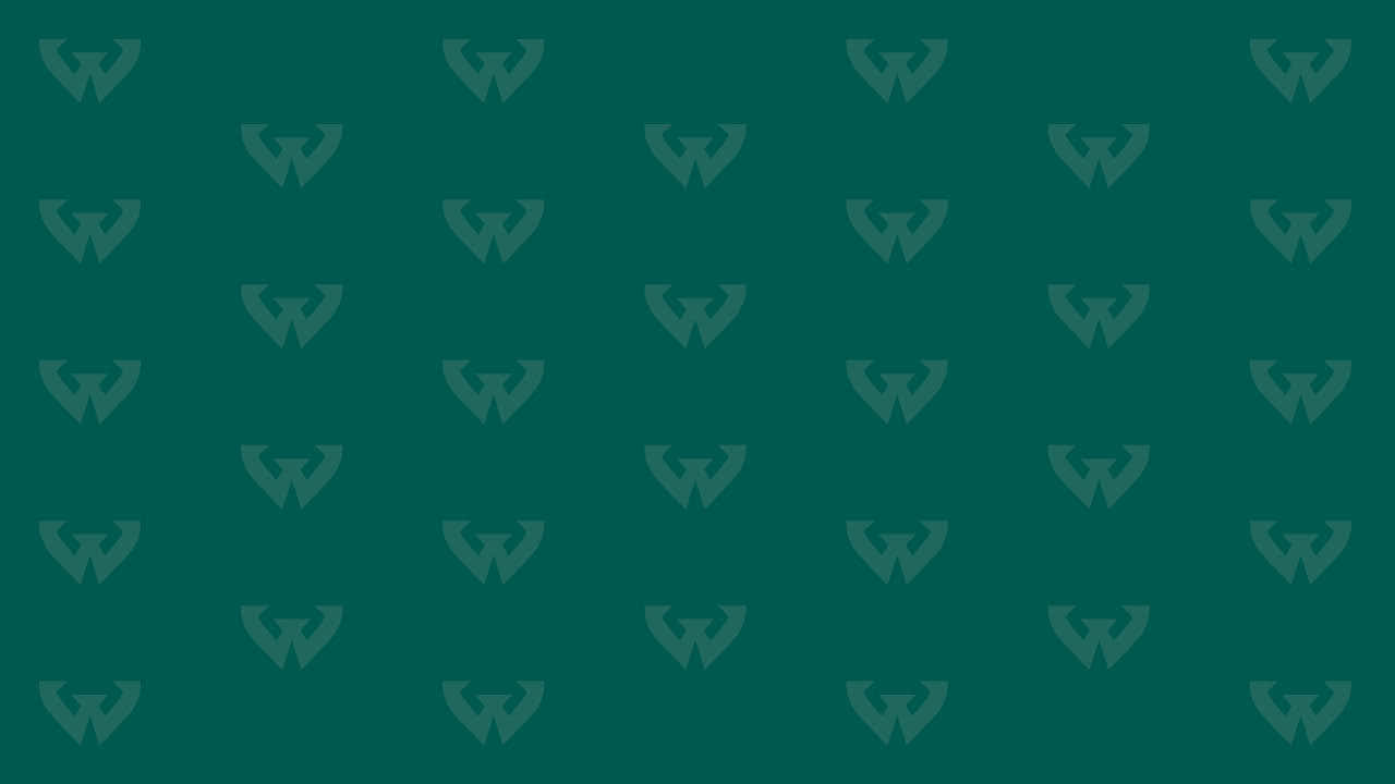 深藍綠色背景，帶有重複的風格化W標誌圖案。