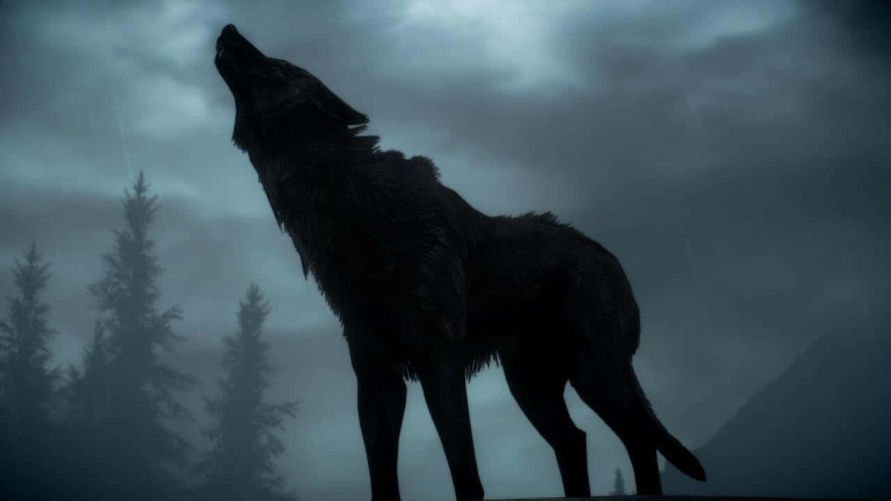 威猛的 Dire Wolf 穿行於荒野 壁紙 — 一隻孤獨的狼對著風暴般的灰色天空嚎叫，背景是霧氣瀰漫的松樹。