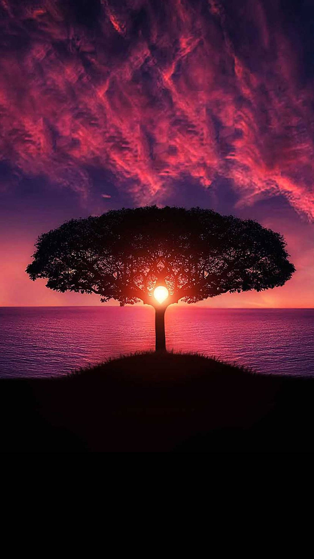 夕陽下的一棵孤樹，粉紅色和紫色的天空，平靜的水面。