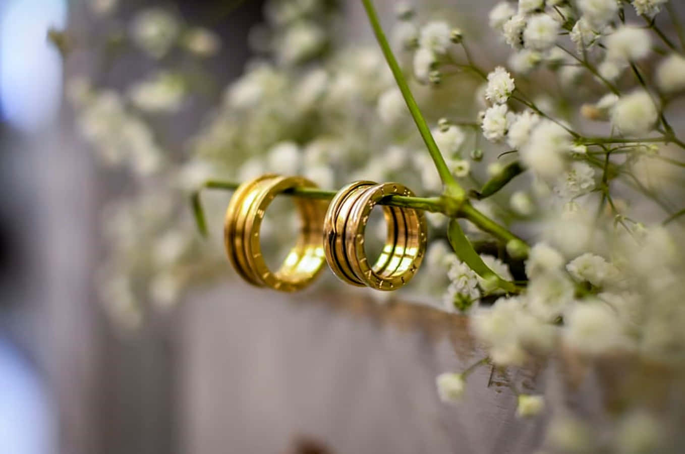 兩枚金色結婚戒指藏在滿天星花叢中。