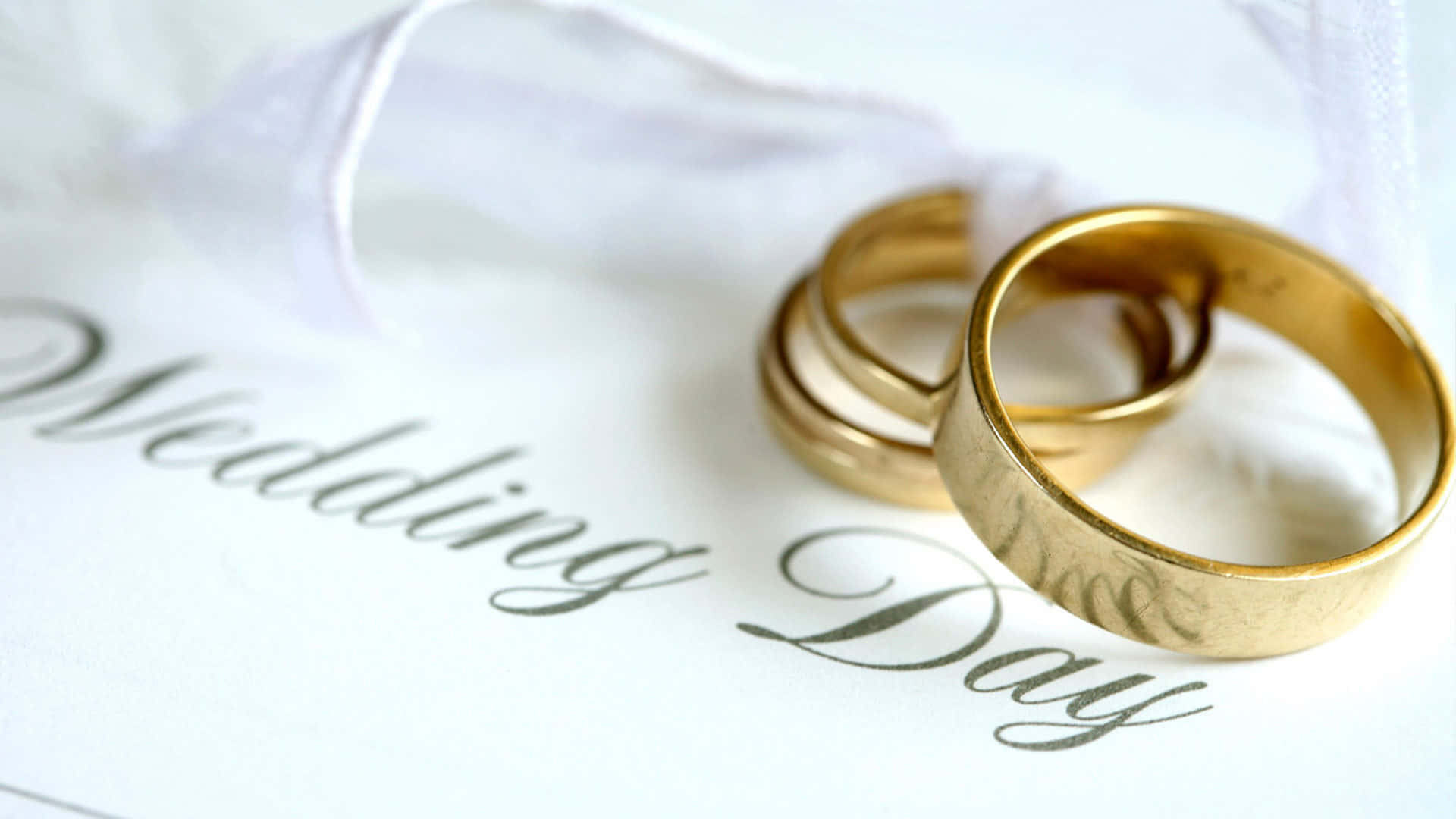 婚戒與婚禮日 壁紙 — 兩枚金結婚戒指放在一張寫有「Wedding Day」的白色卡片上，附近有柔軟的布料。