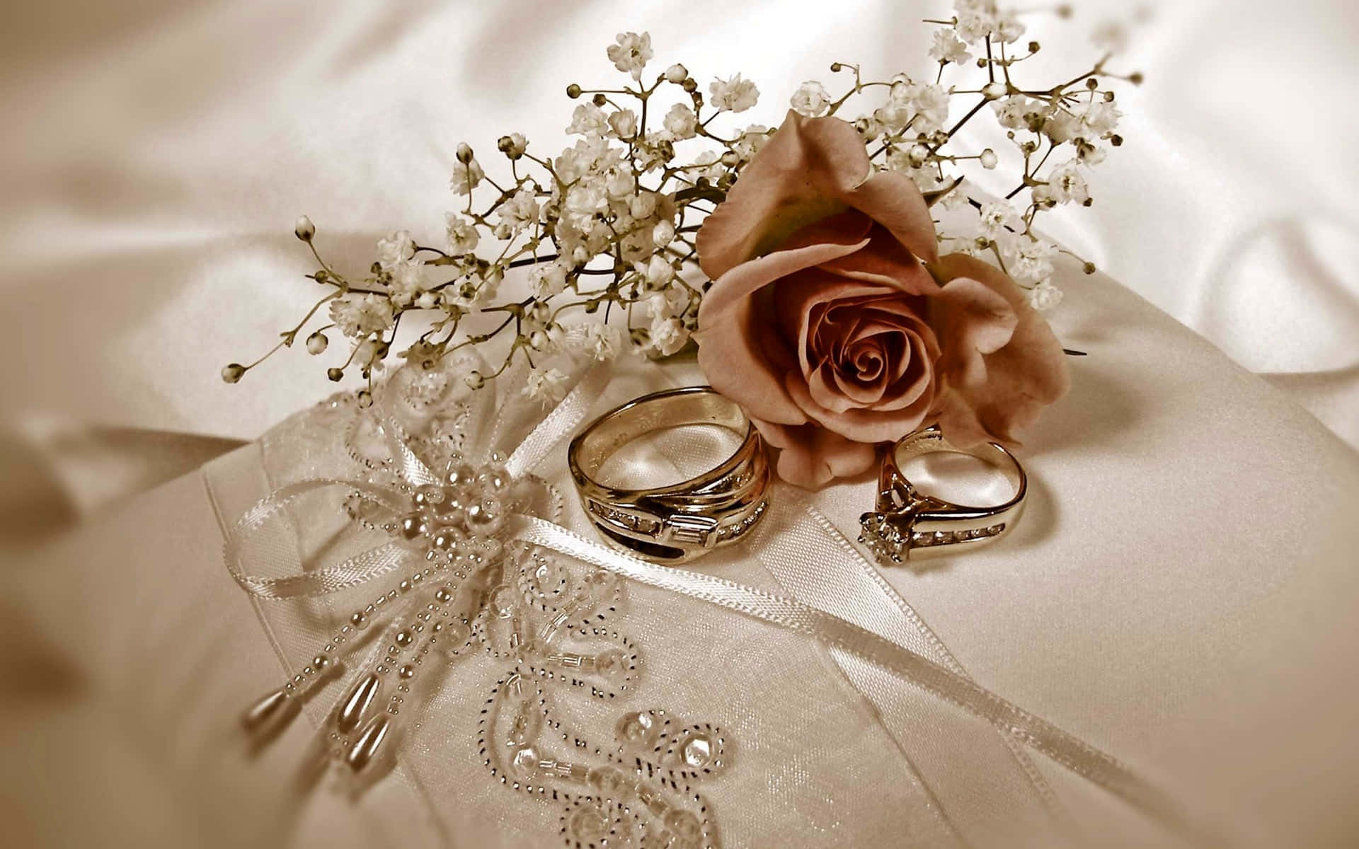 婚戒與玫瑰花 壁紙 — 兩枚結婚戒指放在一個帶有珠飾蕾絲邊的緞面枕頭上，旁邊是一朵塵玫瑰和滿天星。
