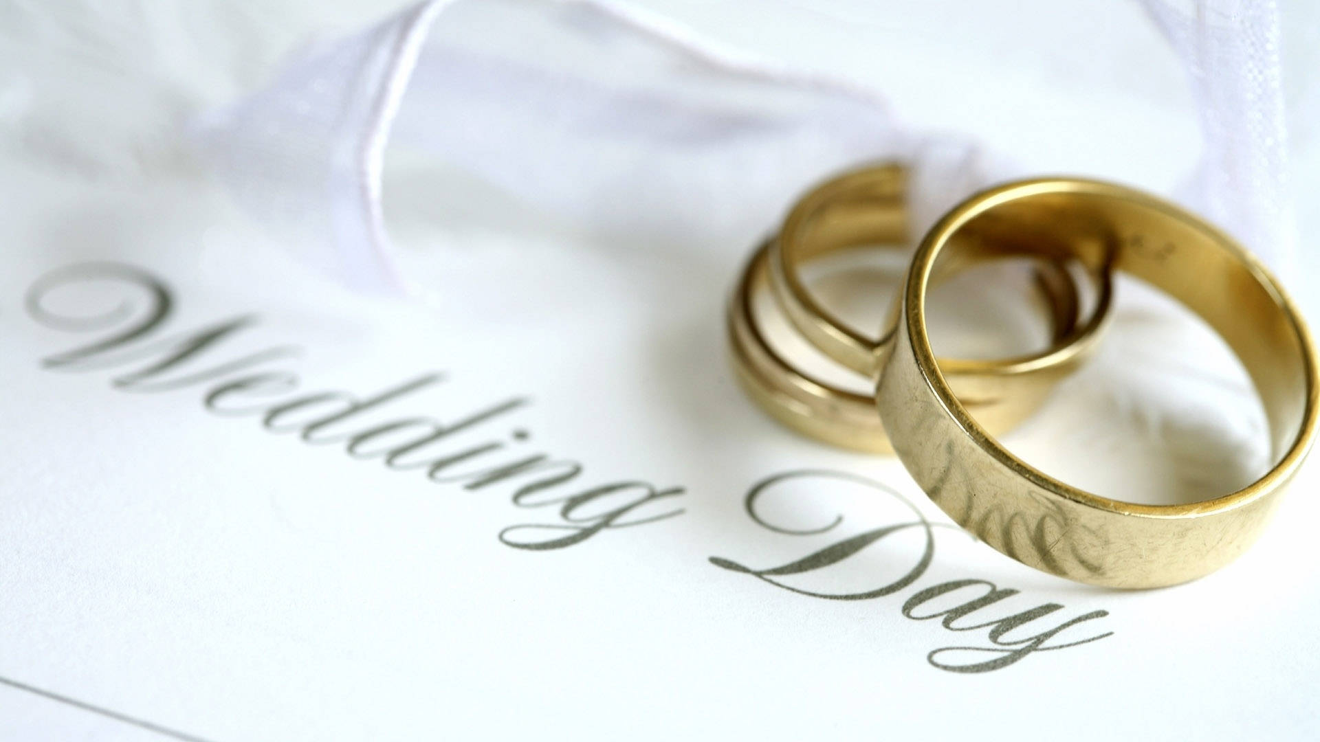 兩隻金結婚戒指放在婚禮日卡片上，配以薄紗。