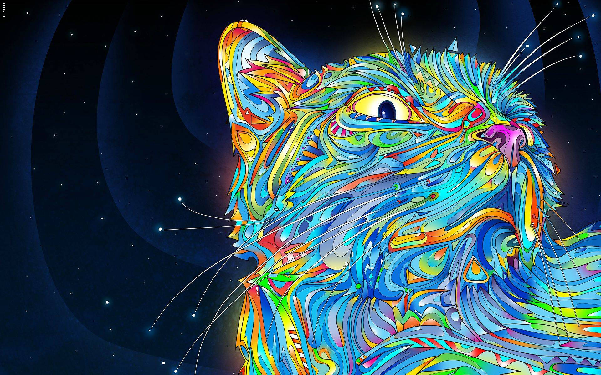 嬉皮士色彩貓咪插畫 壁紙 — 一隻帶有漩渦彩虹圖案的迷幻貓咪，在繁星宇宙背景下向上凝視。