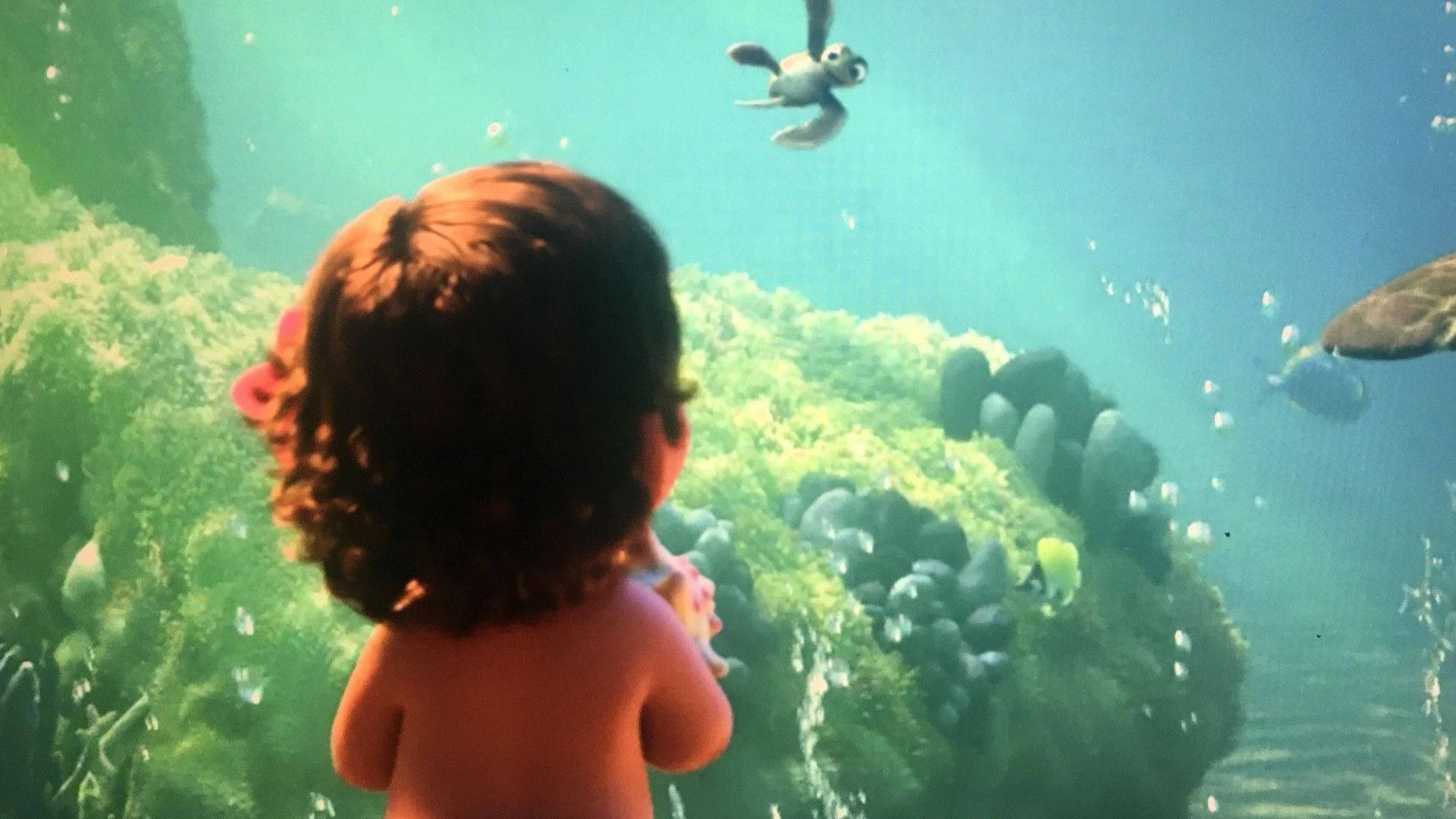 嬰兒莫阿娜海景 壁紙 — 一個捲髮小孩透過玻璃凝視著水族館中在珊瑚和氣泡間游動的動畫海洋生物。
