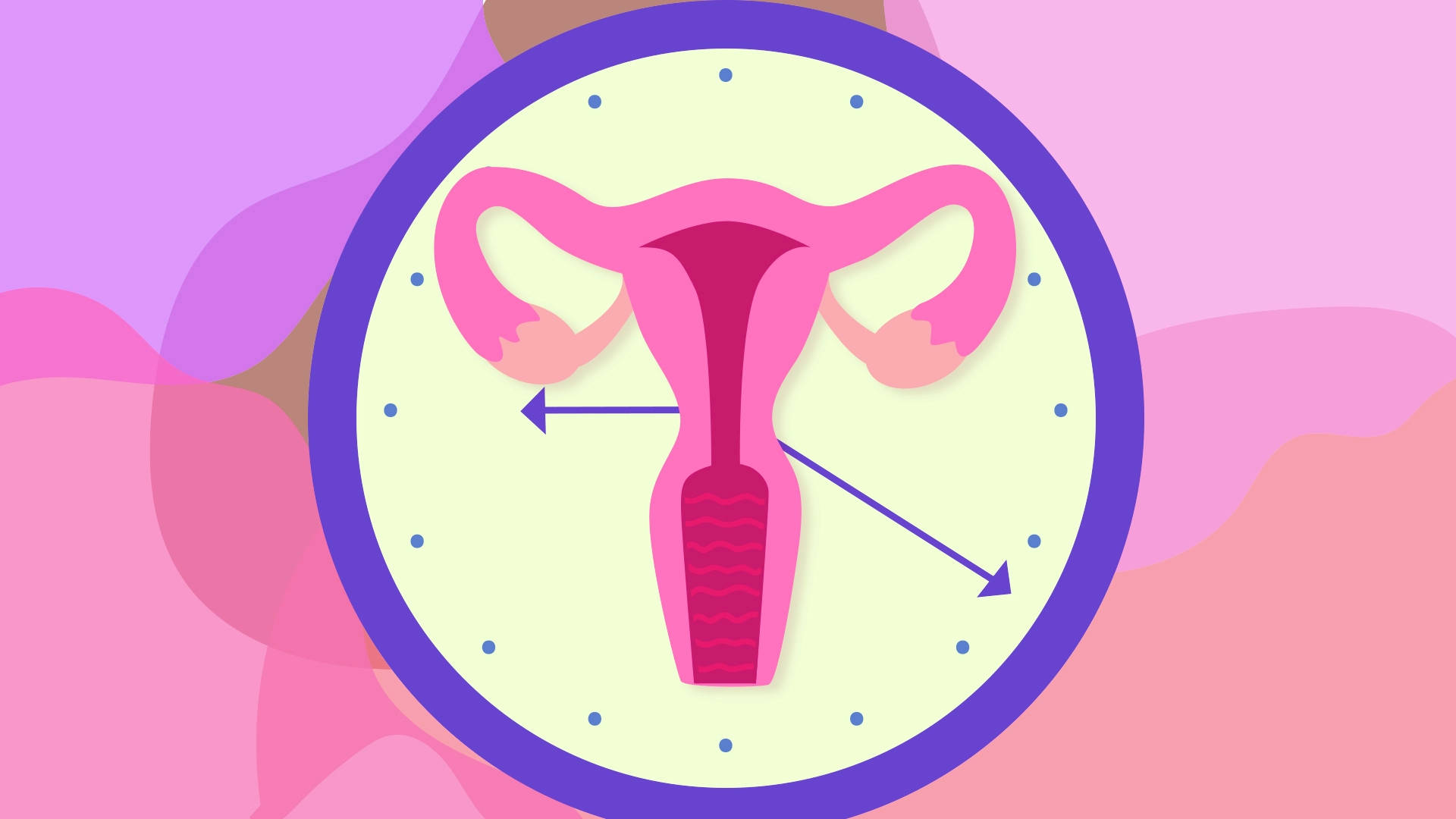 時鐘錶盤內的女性生殖系統插圖。