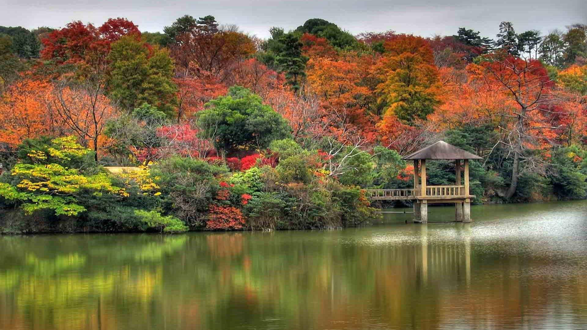 孟加拉賈木納度假村 壁紙 — 一個木製涼亭矗立在平靜的湖面上，周圍鮮豔的秋葉倒映在水中，天空多雲。