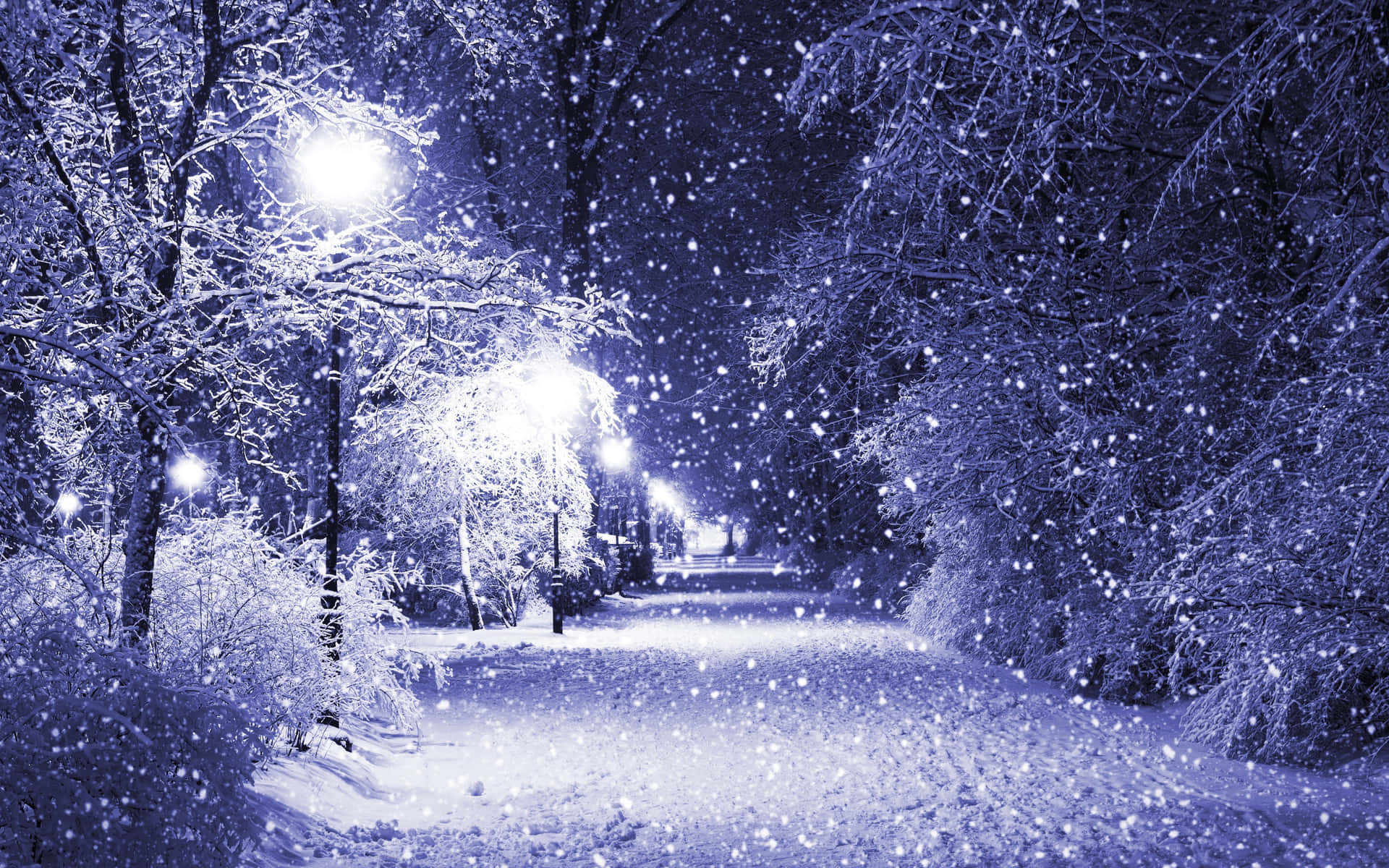 夜間街燈照亮冬季公園小徑上的降雪。