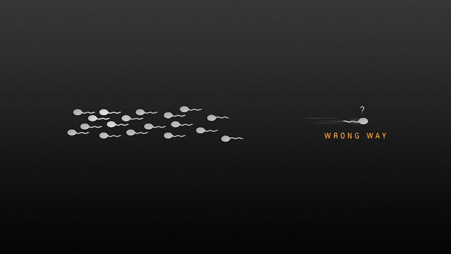 精子細胞向左游，其中一個向右游並標示為「wrong way」。
