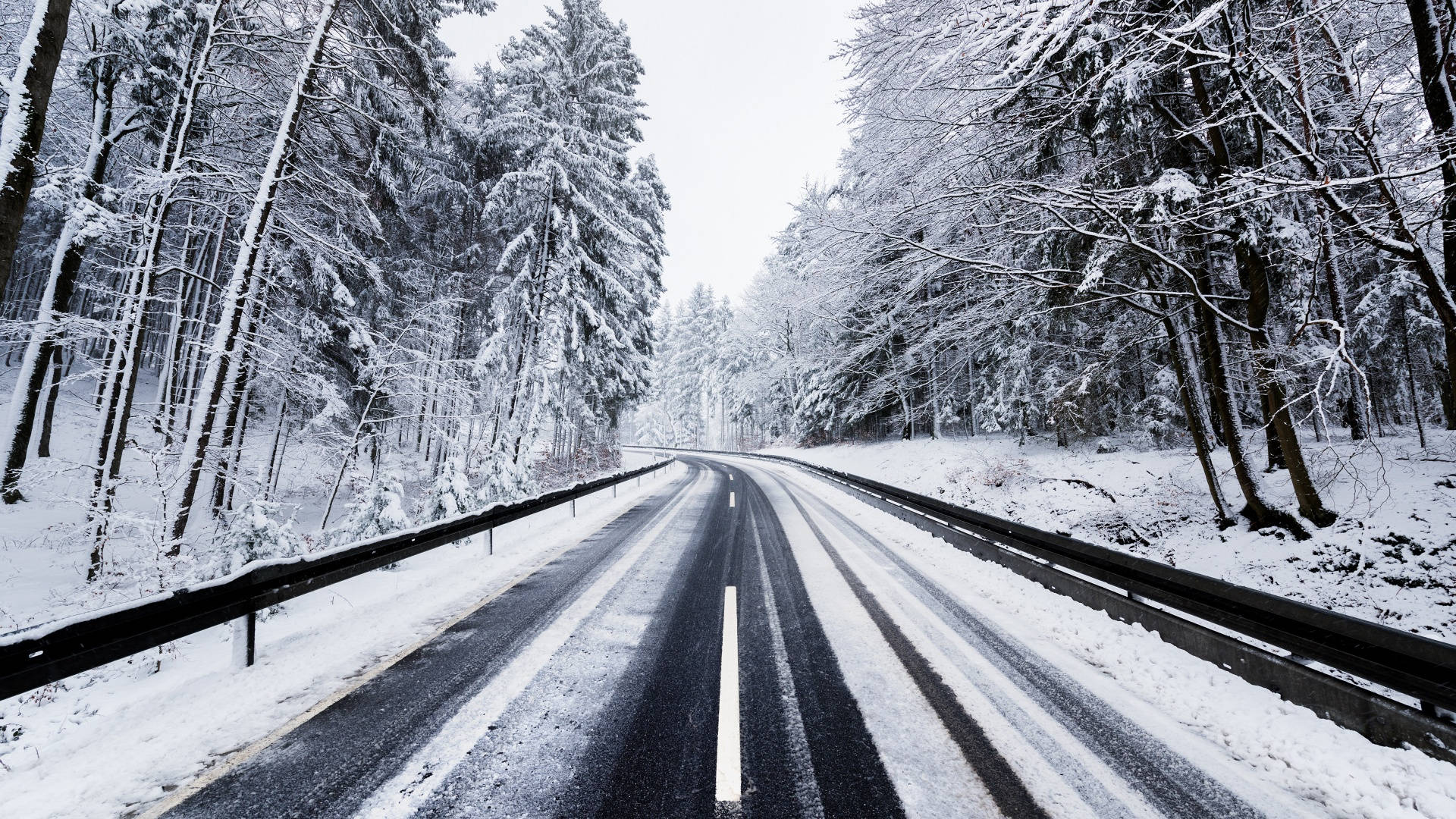 在寧靜的冬日森林中，兩旁是積雪的樹木的雪路。