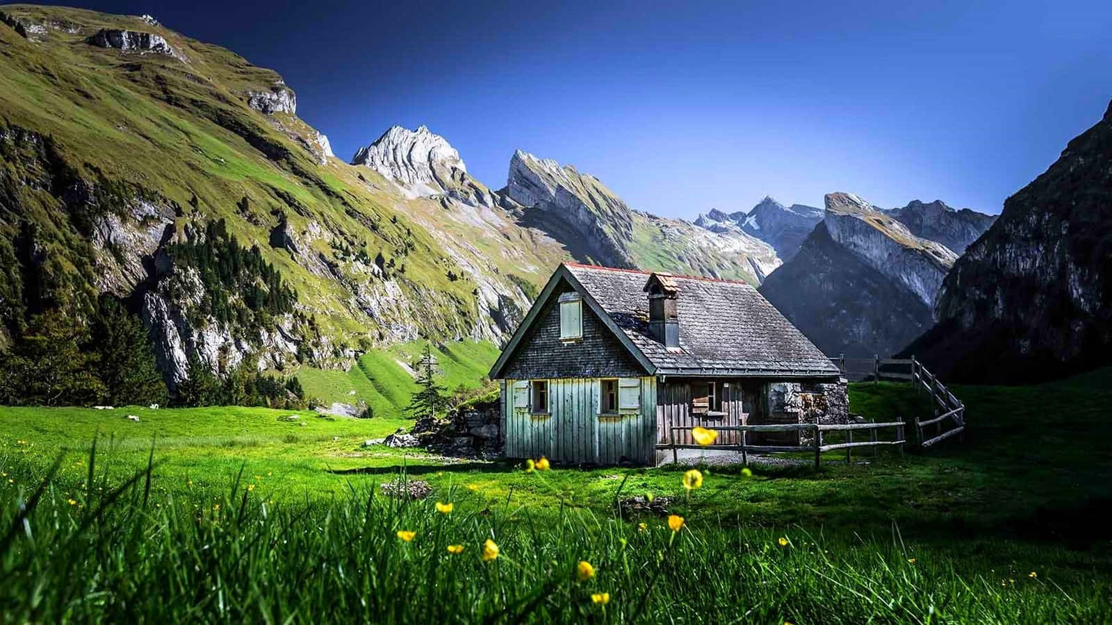 山間谷地中的一間木屋，周圍有綠草和黃花。