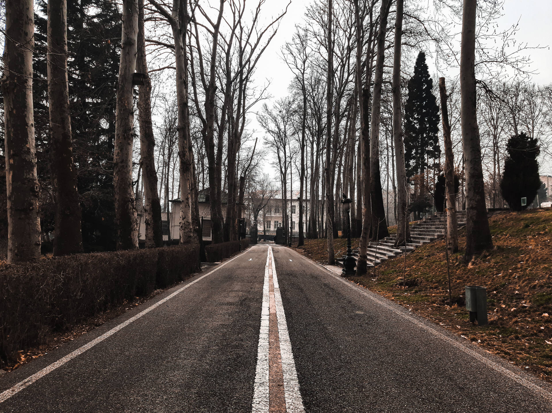 一條筆直的道路，兩旁是光禿禿的樹木，在冬天通往一座建築物。