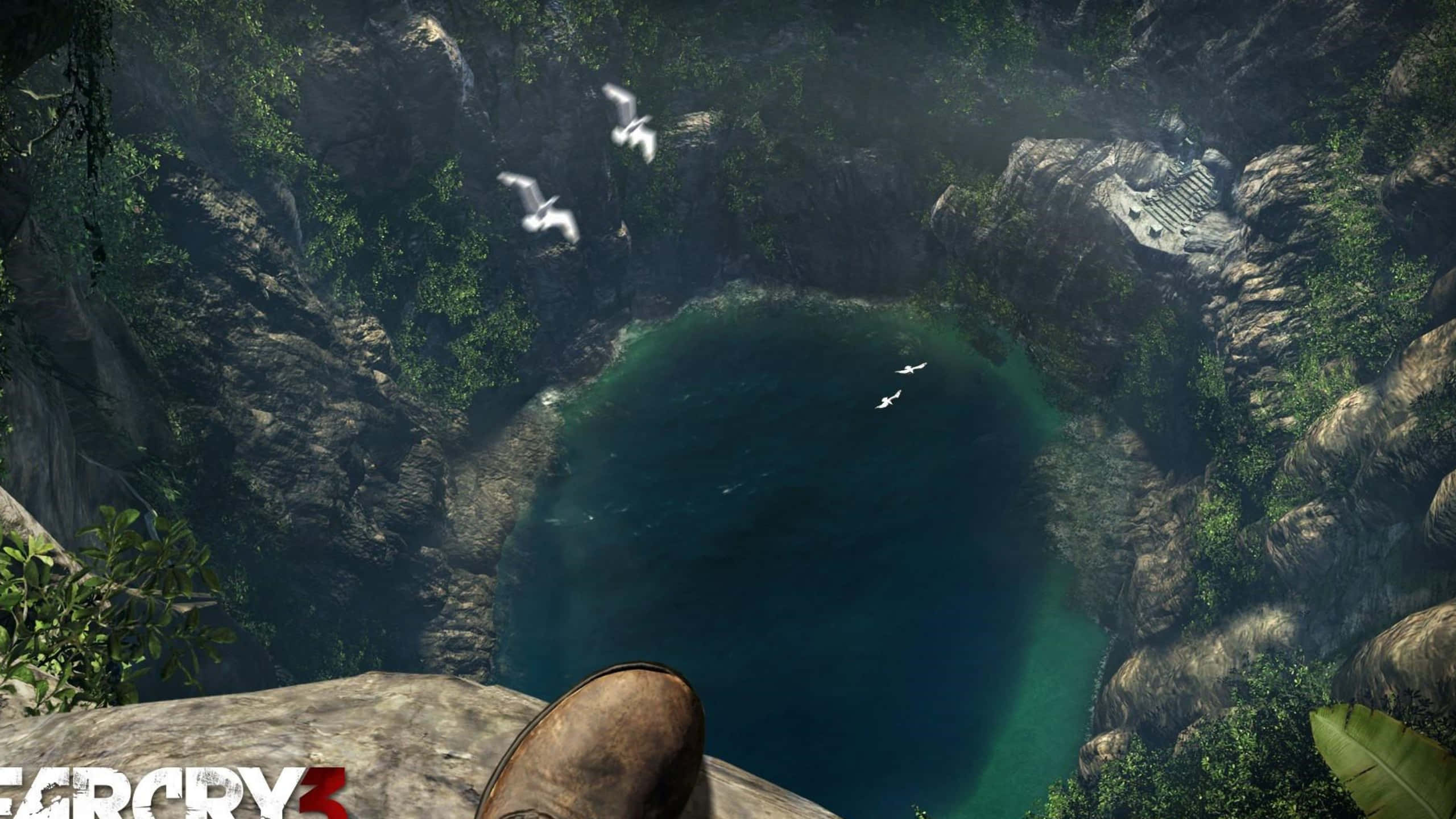 《孤島驚魂3》岩石地貌1440p背景 壁紙 — 從懸崖俯瞰深翠綠色水池的第一人稱視角，周圍環繞著茂密的叢林和岩石峭壁，鳥兒在頭頂飛翔。