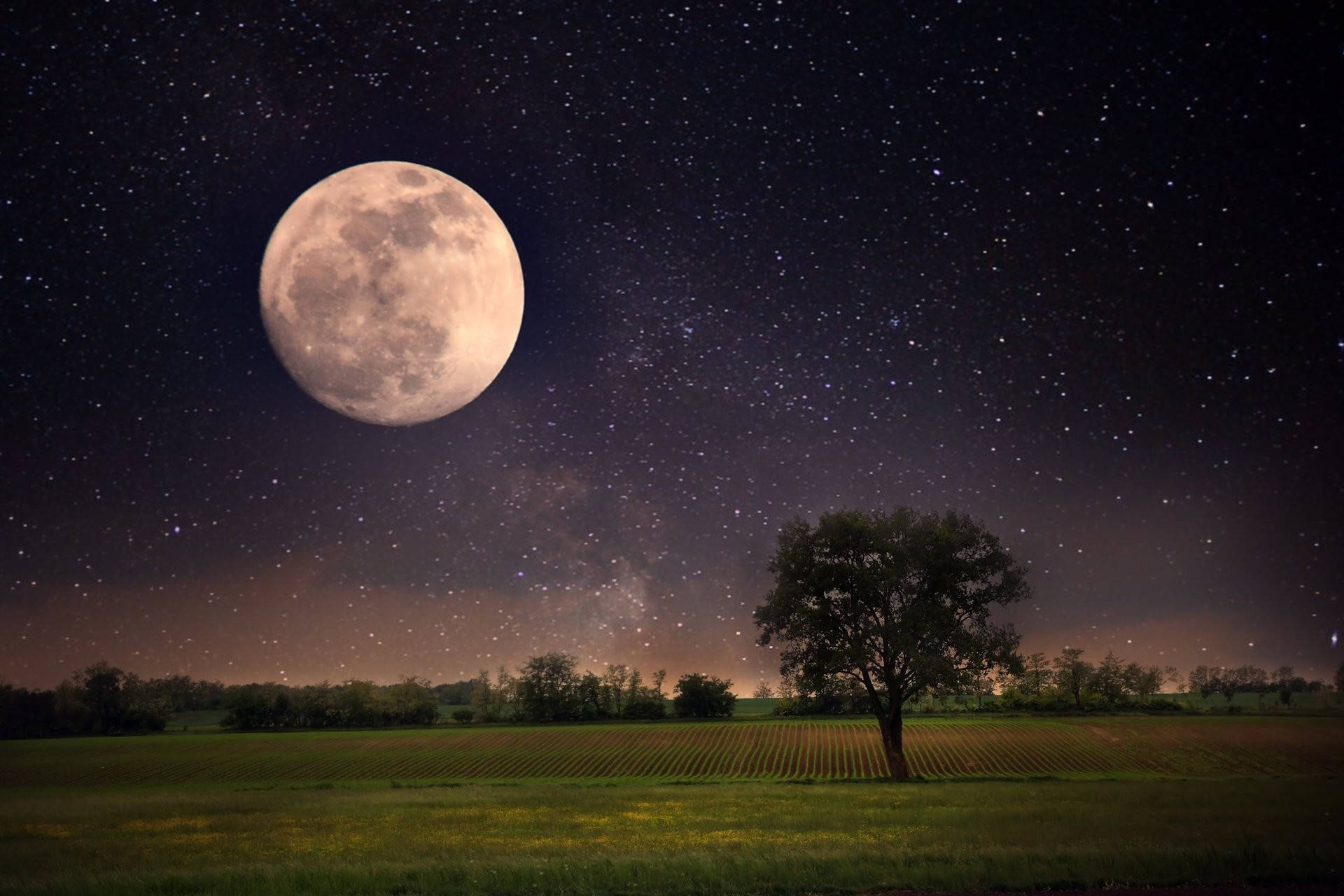 孤樹夜景 壁紙 — 一棵孤獨的樹矗立在繁星點點的田野上，一輪巨大的滿月散發柔和的光芒，照亮草地。