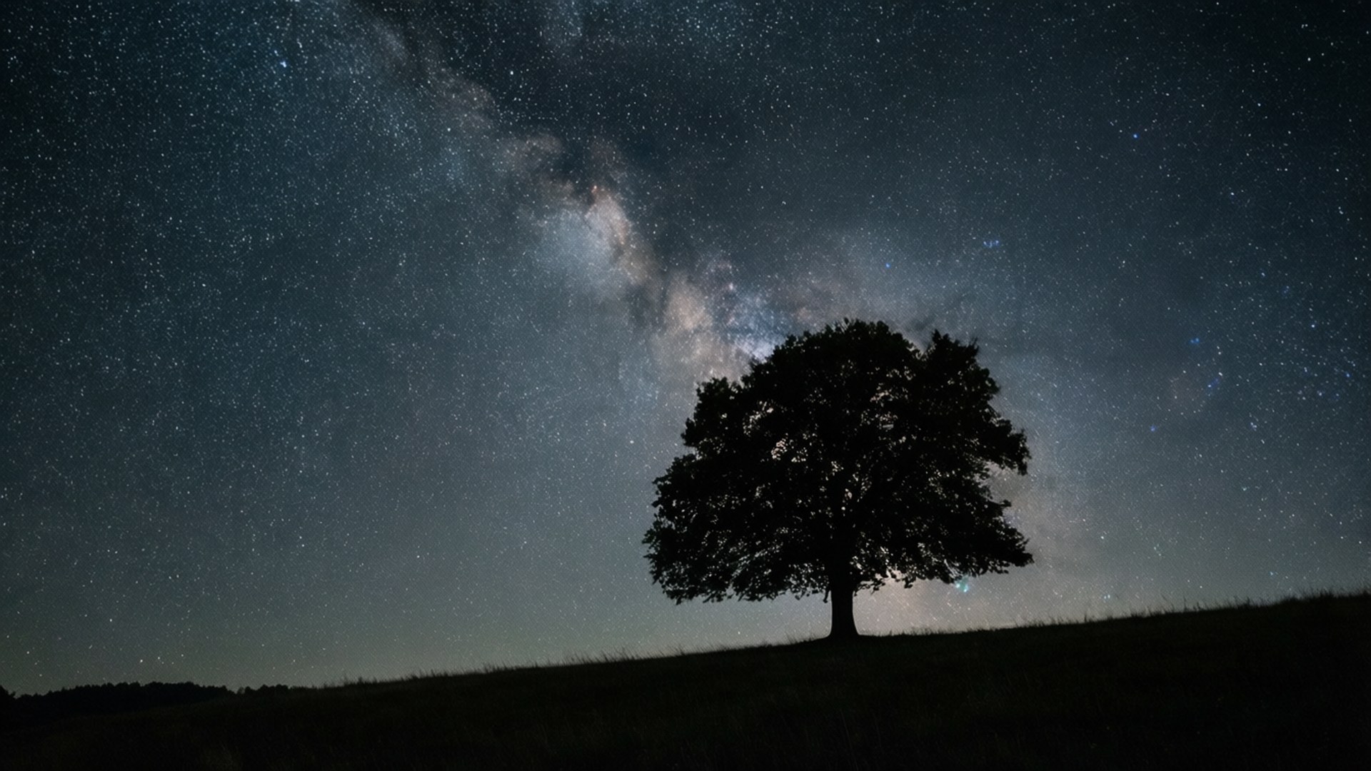 簡約夜景，一棵樹與滿天繁星，適合用作寧靜的壁紙。