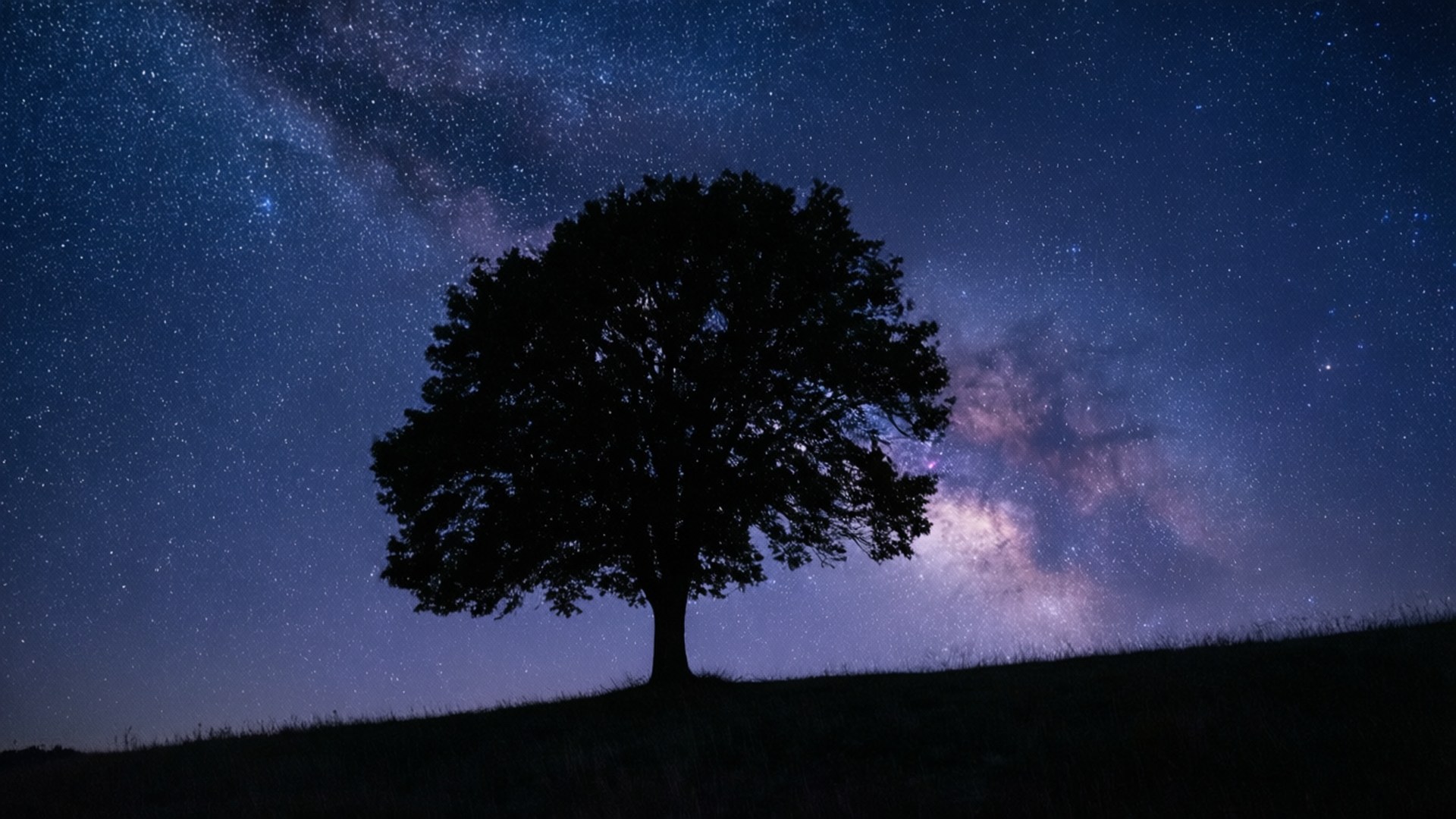 孤樹星空夜 壁紙