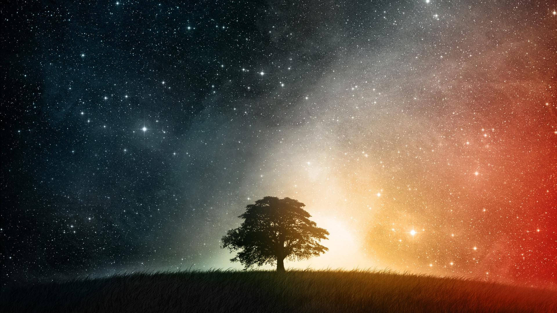 孤樹與浩瀚宇宙 壁紙 — 一棵孤樹的剪影矗立在長滿草的山丘上，下方是從深藍色過渡到火橙色的充滿活力的星空。