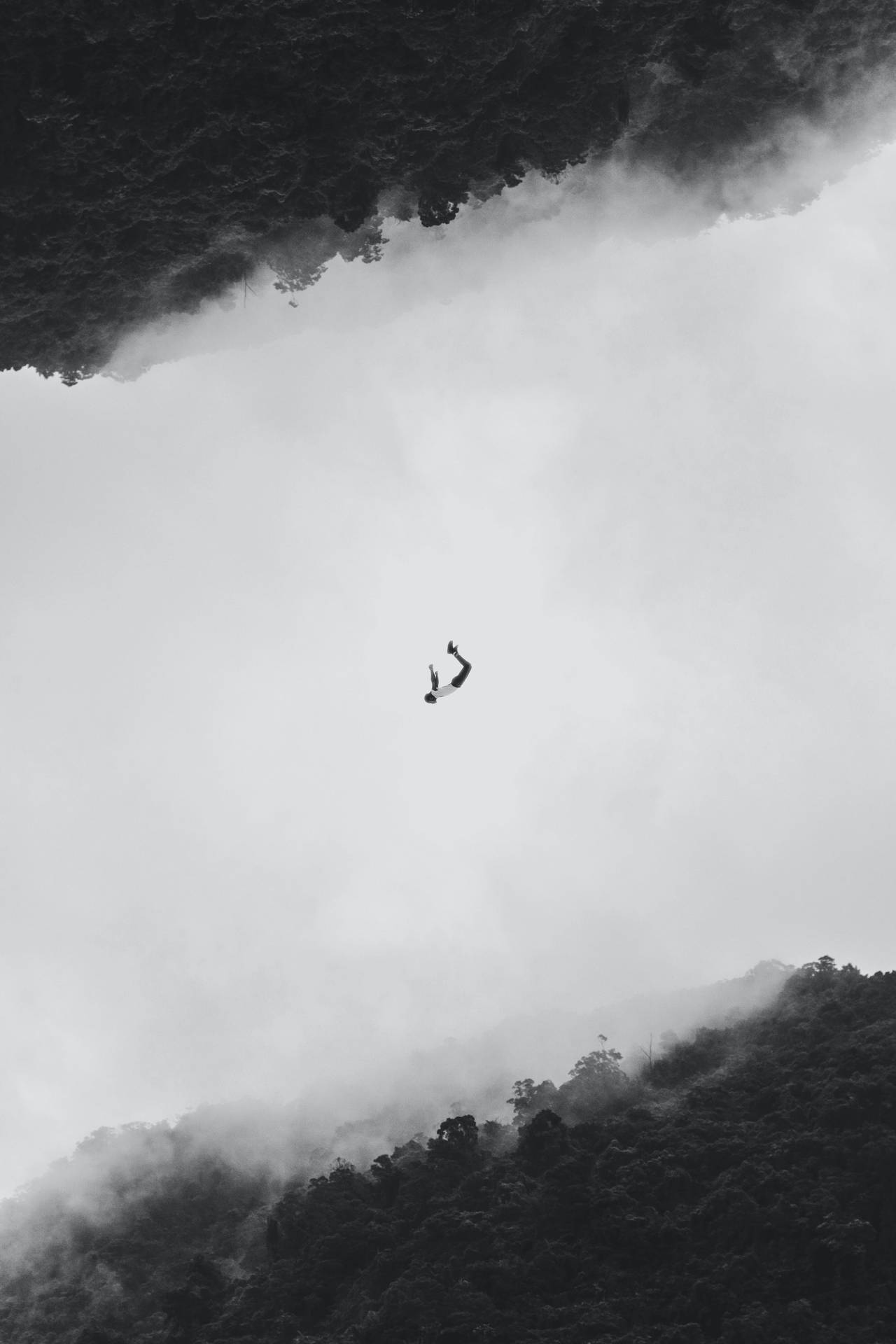 跳傘者穿過雲層，在黑白森林覆蓋的山脈之間墜落。
