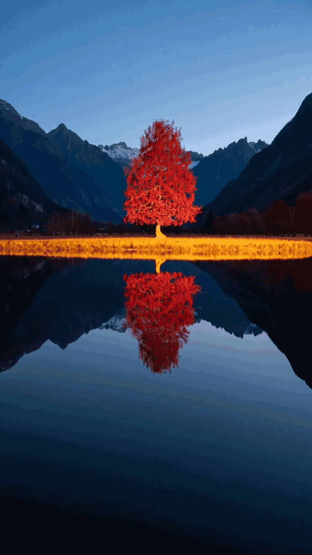 孤獨的紅楓樹在島上，鏡面湖與山脈 壁紙 — 一棵孤獨的火紅樹立在金色草地上，旁邊是平靜的湖泊，倒映著山脈，背景是深藍色的暮色天空。