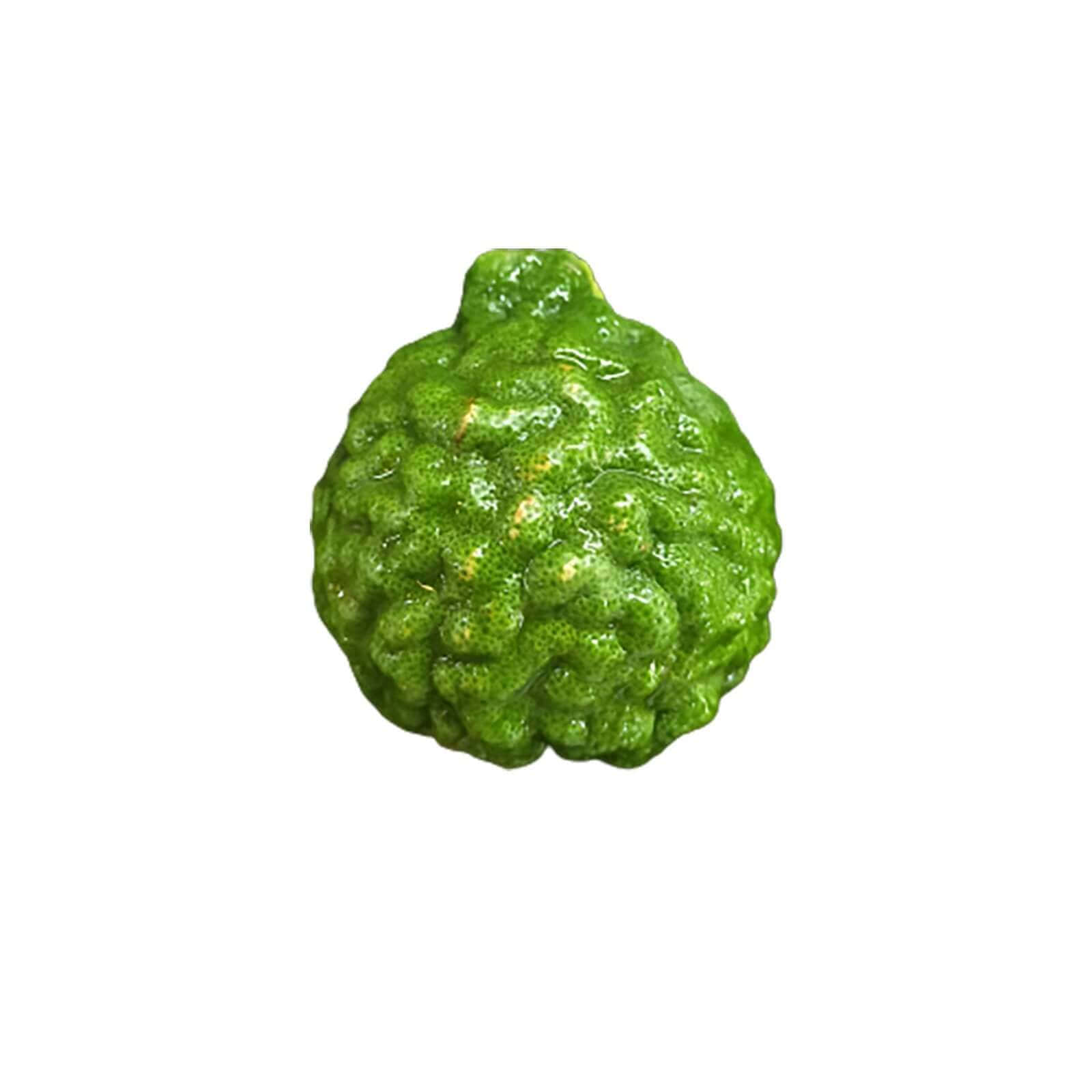 孤立的鮮綠檸檬葉 壁紙 — 一個單獨的凹凸不平的綠色青檸，帶有紋理表皮和微妙的黃色斑點，在白色背景上孤立。
