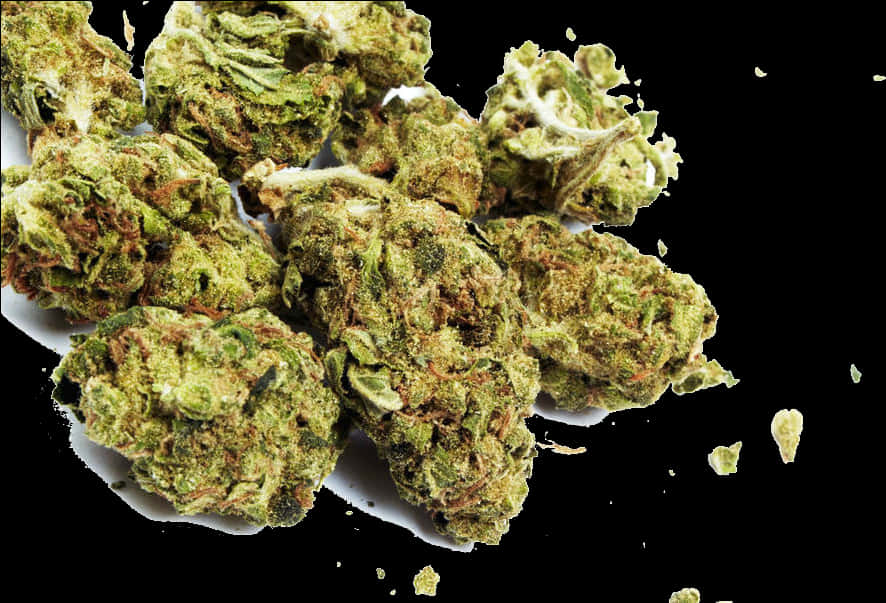 大麻花透明背景