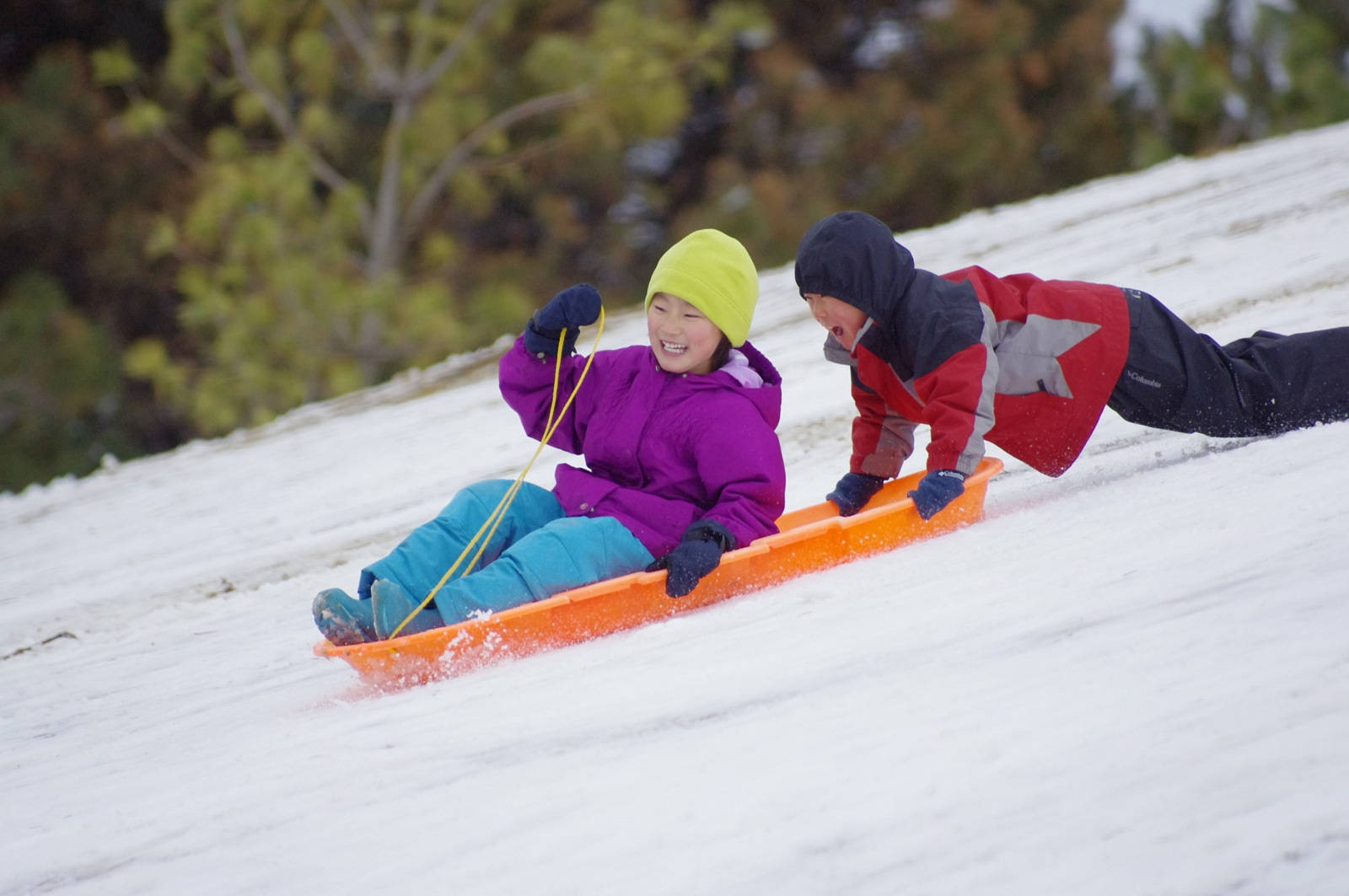 孩子們享受戶外雪橇樂趣 壁紙 — 兩個孩子笑著從雪坡上滑下，一個戴著亮黃色帽子和紫色外套，另一個穿著紅黑裝備。