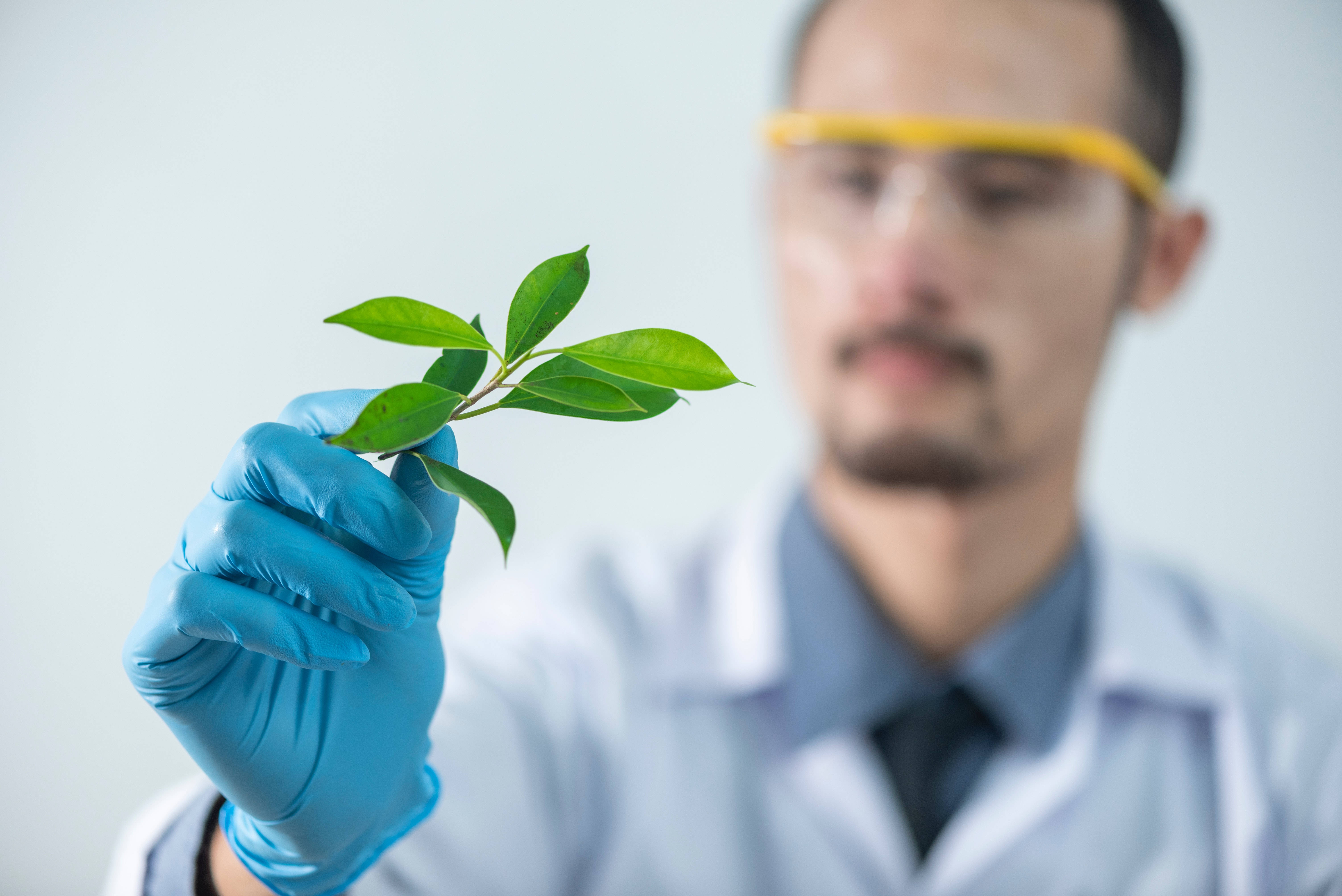 學習動力植物學 壁紙 — 一位穿著實驗室外套和藍色手套的科學家，在柔和的白色背景前手持一枝鮮綠色的植物嫩枝。