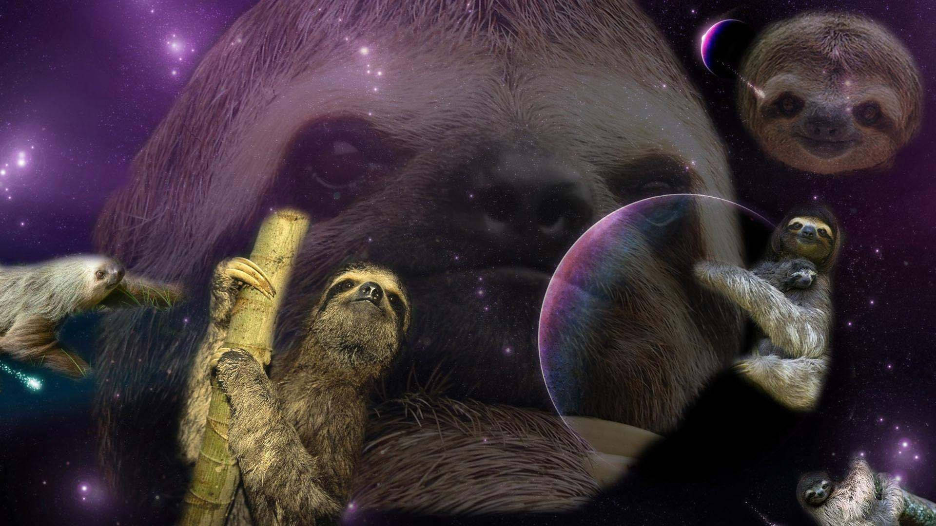 宇宙中的怪異樹懶 壁紙 — 樹懶在宇宙場景中漂浮和攀附，背景有星星、行星和一張巨大的樹懶臉，襯托著紫色星雲。