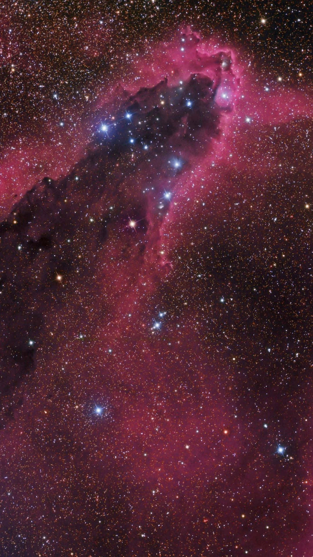 一個色彩繽紛的宇宙星雲，充滿了星星和深空中的黑暗塵埃雲。