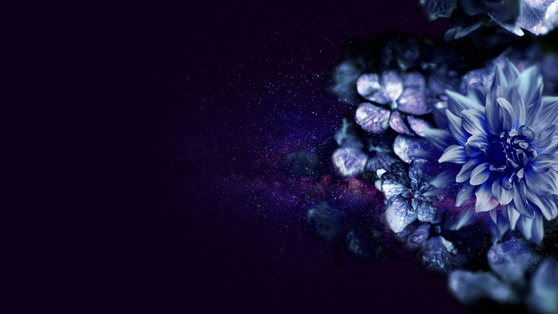 宇宙中的紫花盛開 壁紙 — 鮮豔的藍色和紫色花朵在閃爍星星和星雲的宇宙銀河背景下盛開。