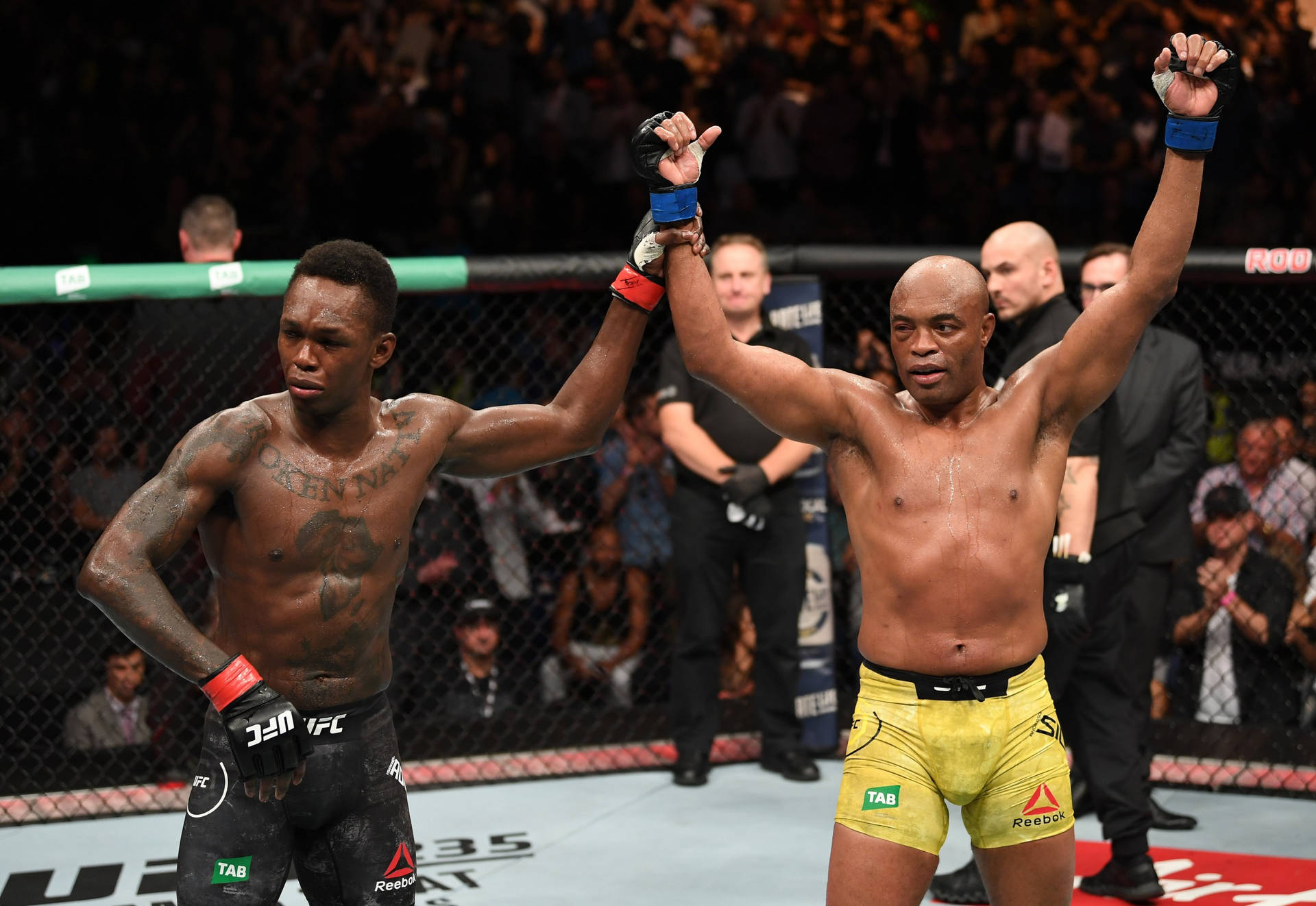 兩名MMA拳手在八角籠內高舉雙臂慶祝勝利，觀眾歡呼。