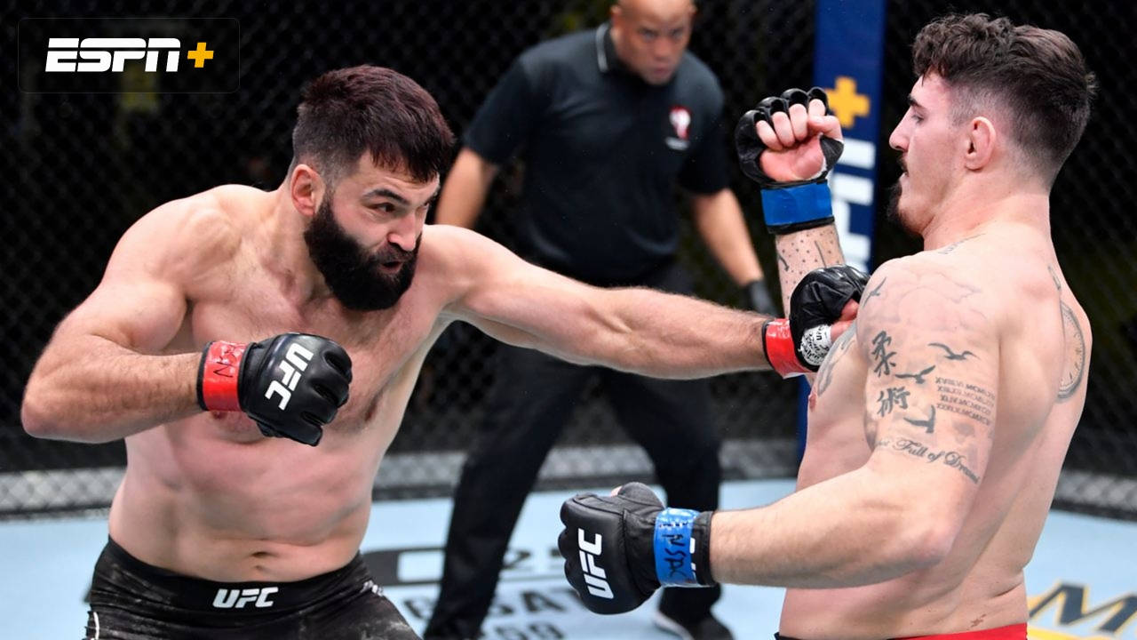 UFC比賽中，兩名拳手在八角籠內互相出拳。