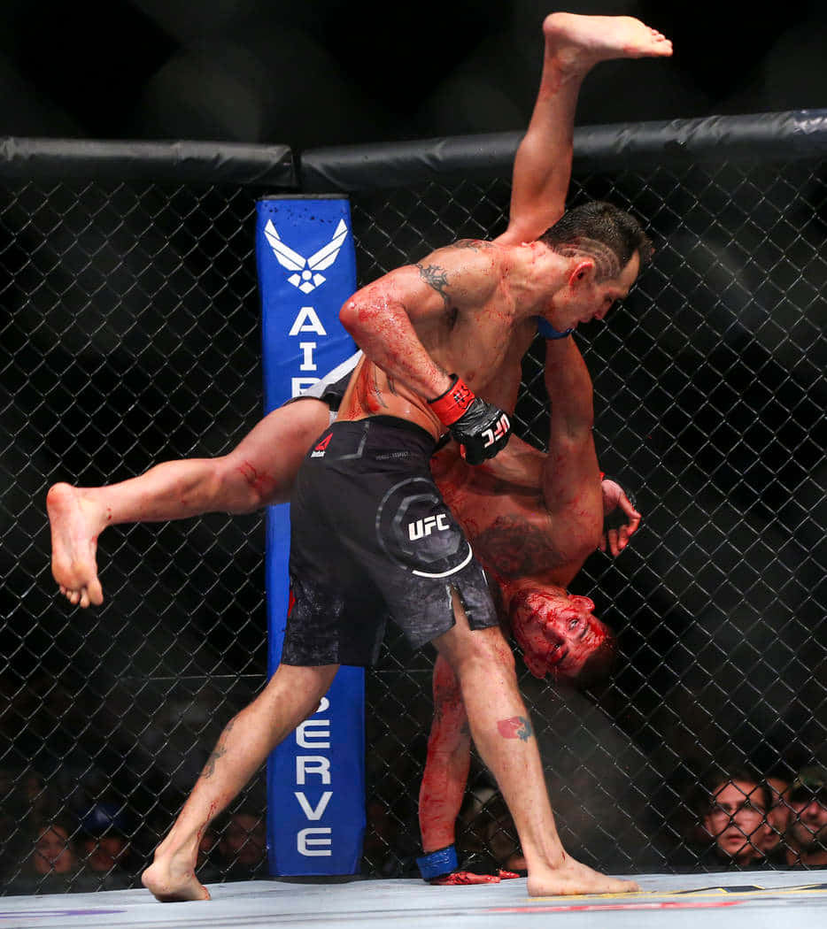 八角籠內一場血腥MMA比賽中的兩名拳手。