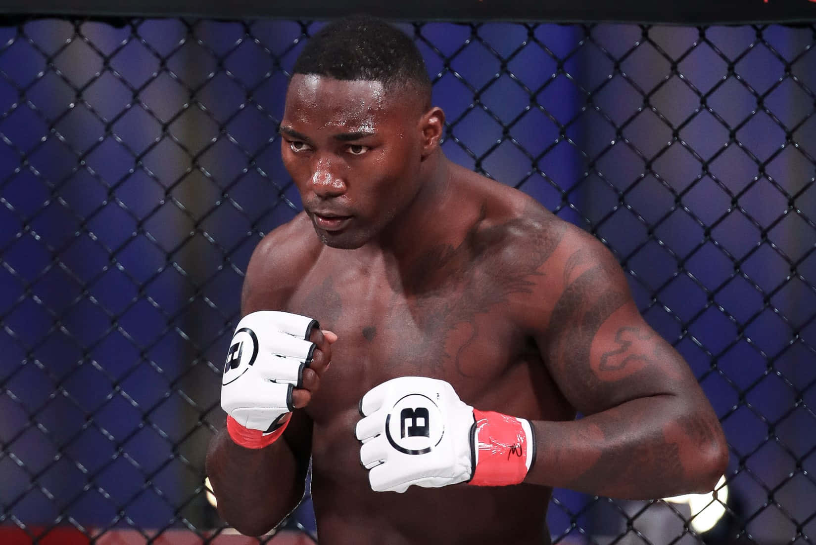 安東尼·約翰遜於2021年Bellator賽事中的激烈瞬間 壁紙 — 一位肌肉發達、有紋身的拳手在籠內戴著白色手套和紅色護腕，眼神專注。