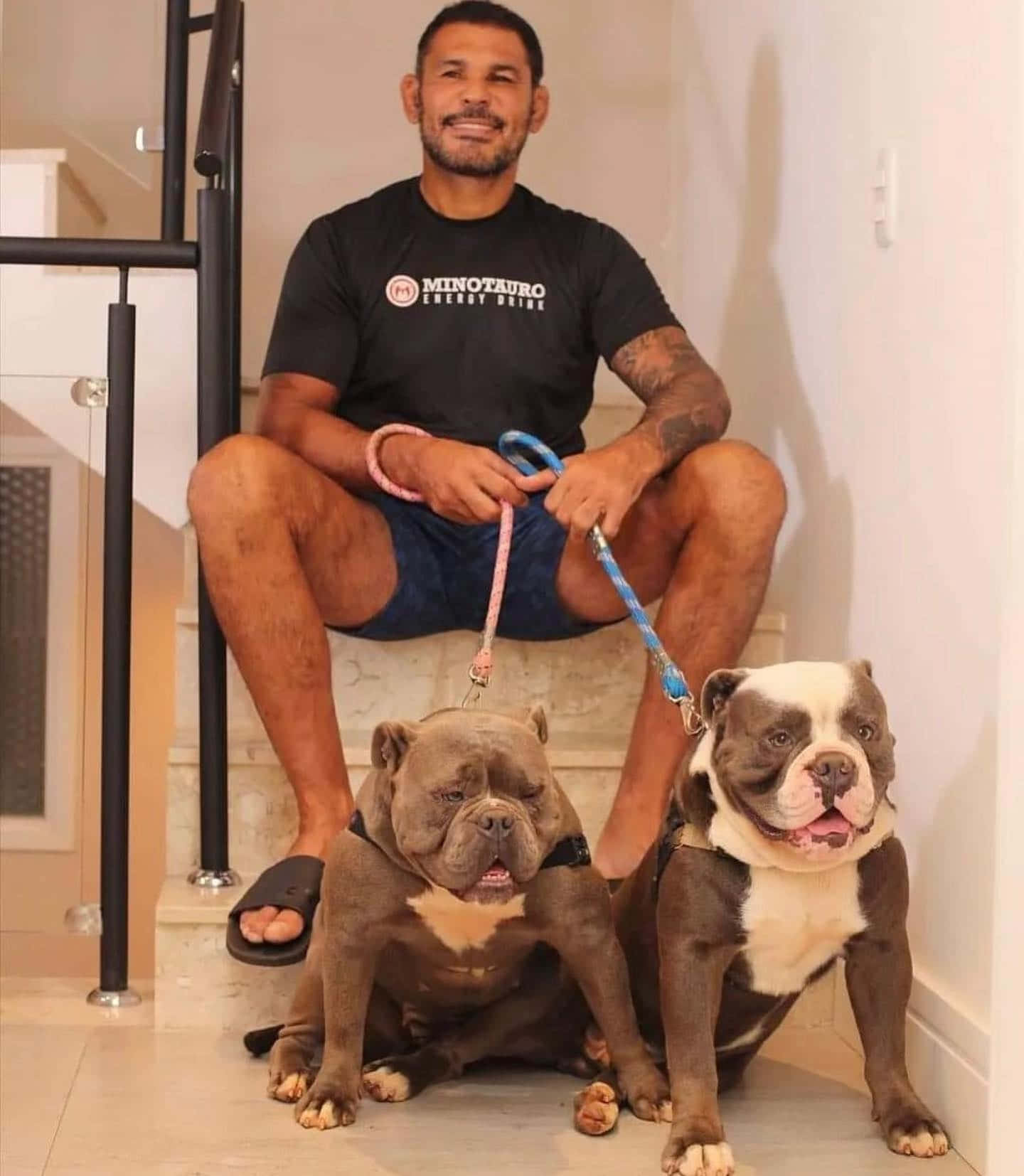 男人坐在樓梯上，牽著兩隻鬥牛犬。