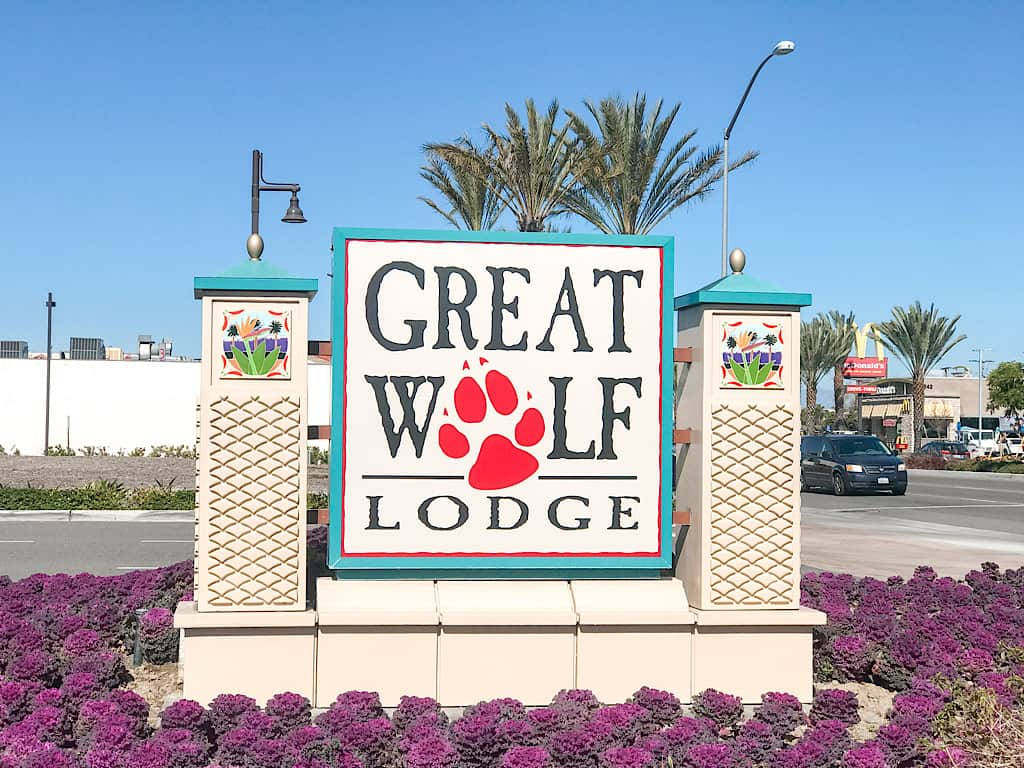 紫色花朵和棕櫚樹環繞的 Great Wolf Lodge 標誌。