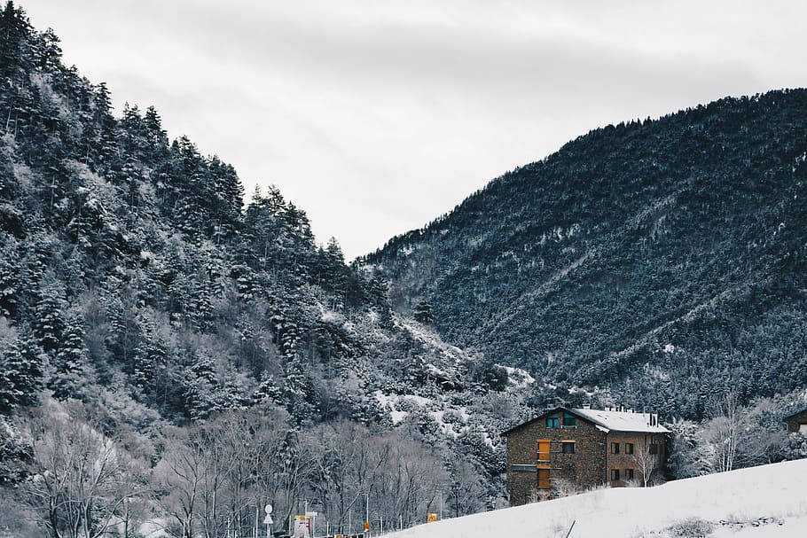 雪山谷中的石屋與常綠樹
